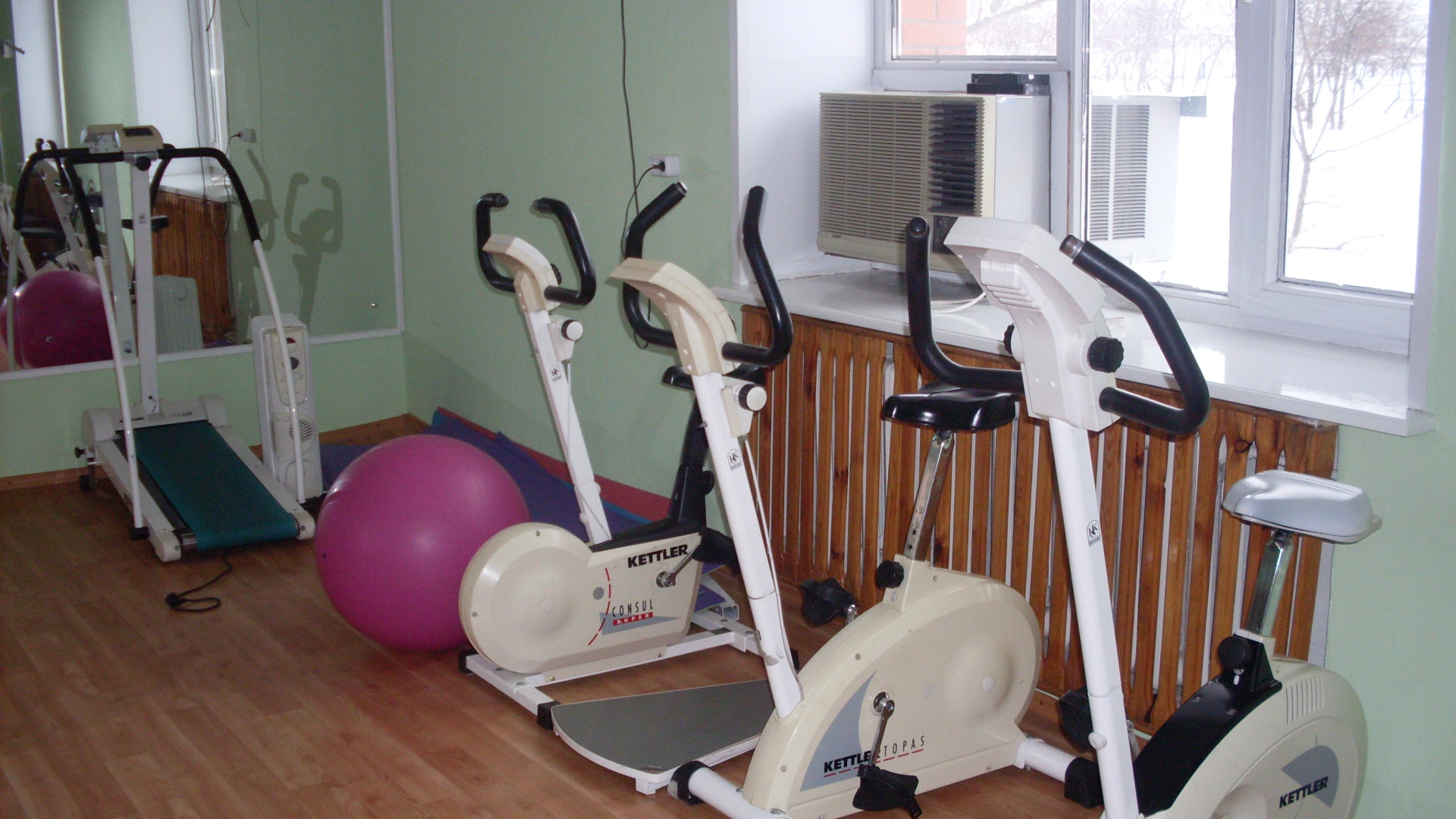 Sosnovyj bor (Krasnojarsk)