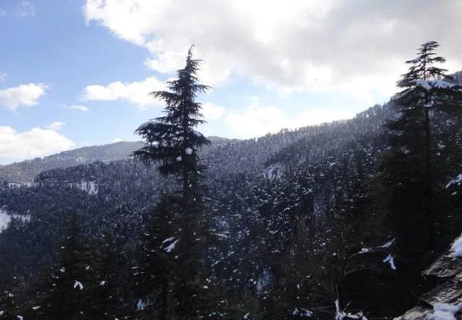 Harmony Holiday Home