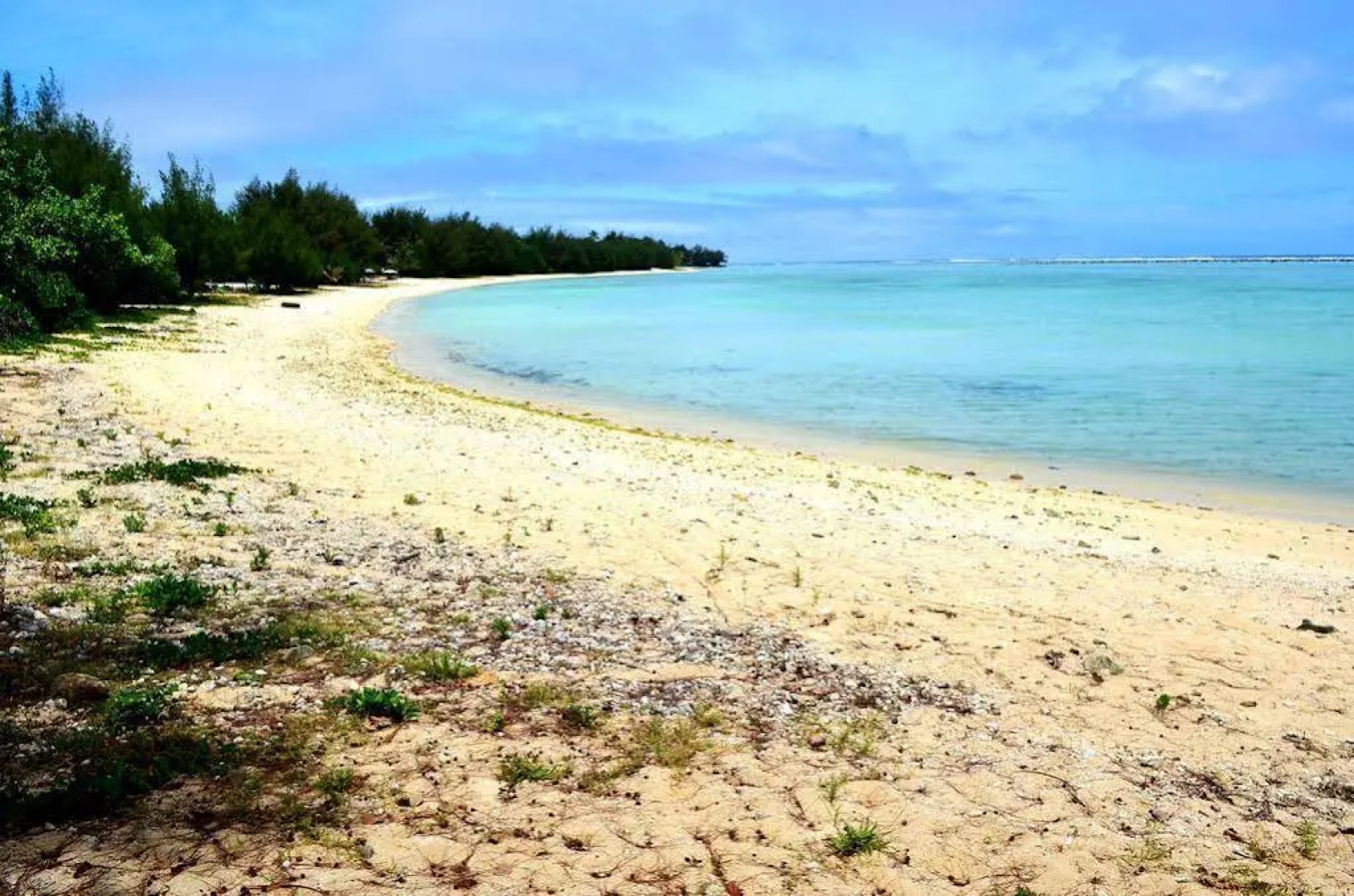 Sunny Bay Beach Bach