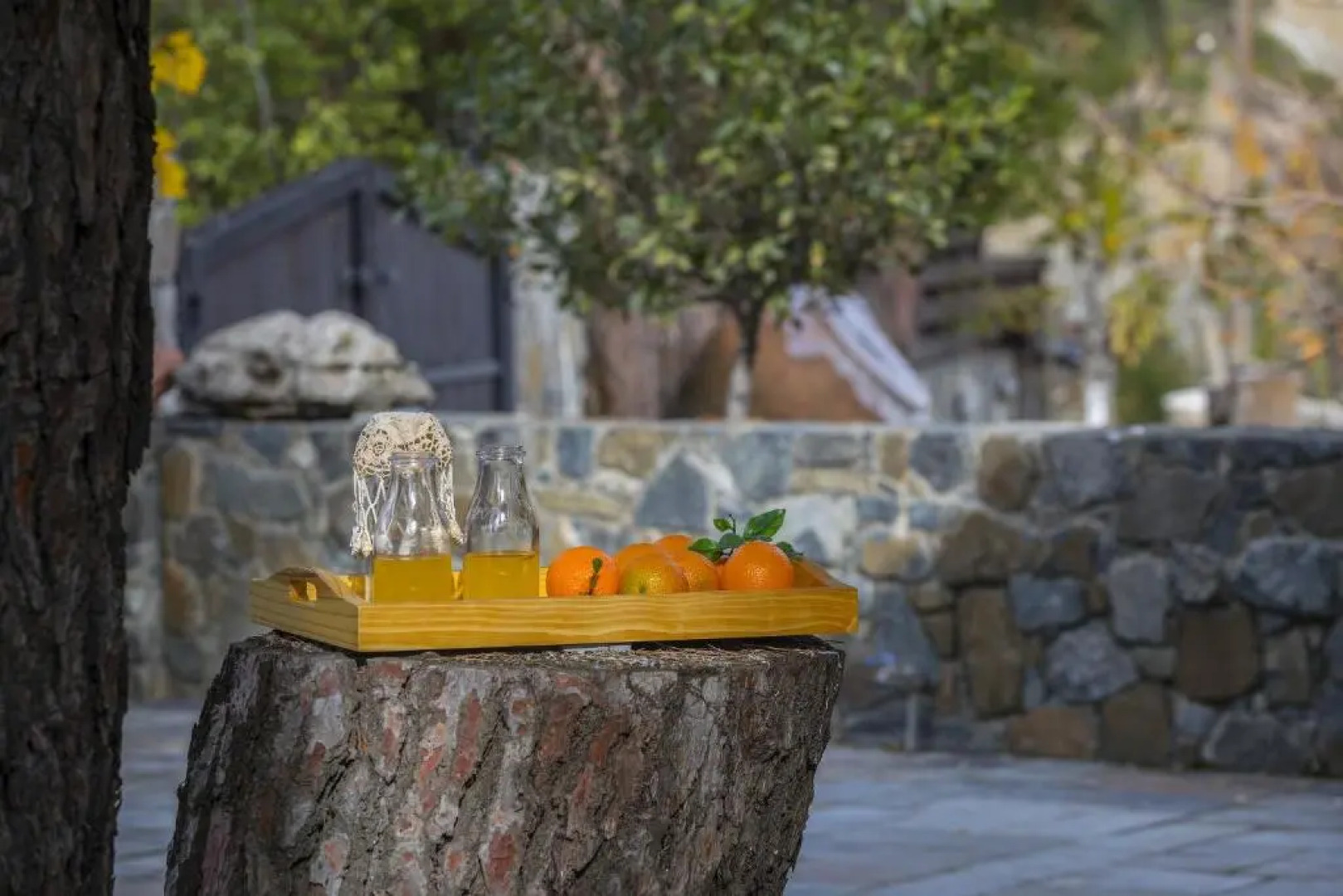 Platres Forest View Cottage