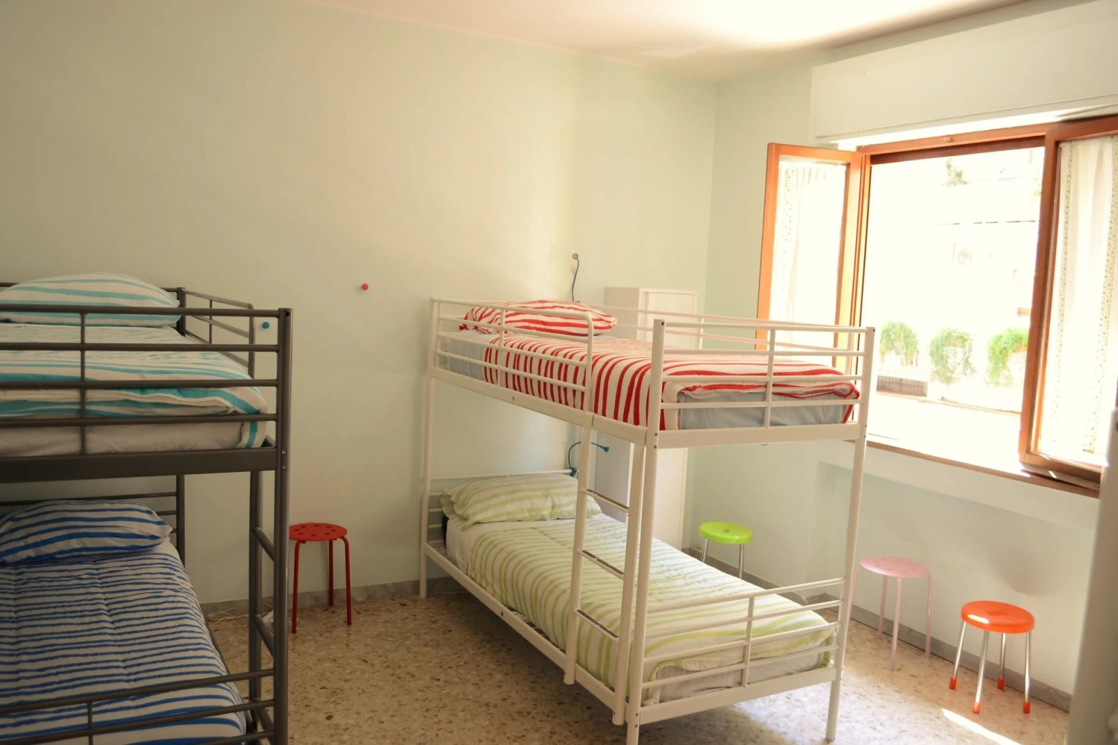 Olive Tree - Hostel