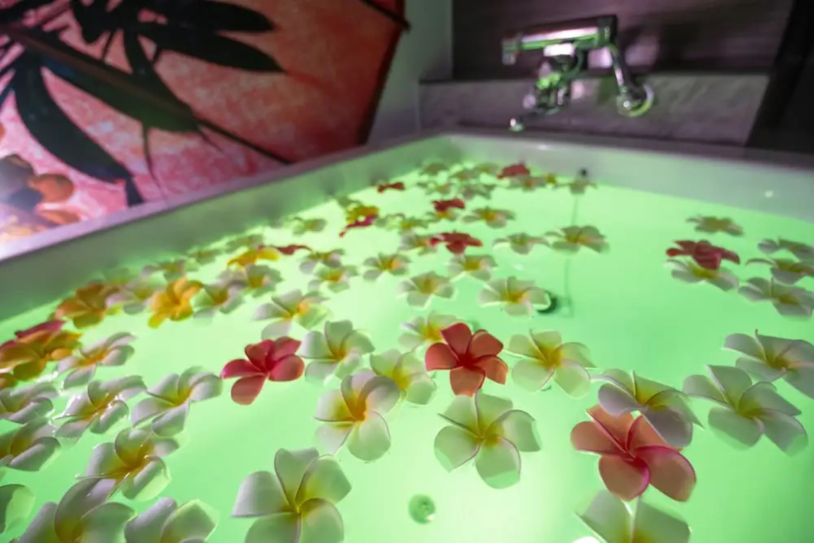 Hotel Tiger & Dragon (Adult Only)