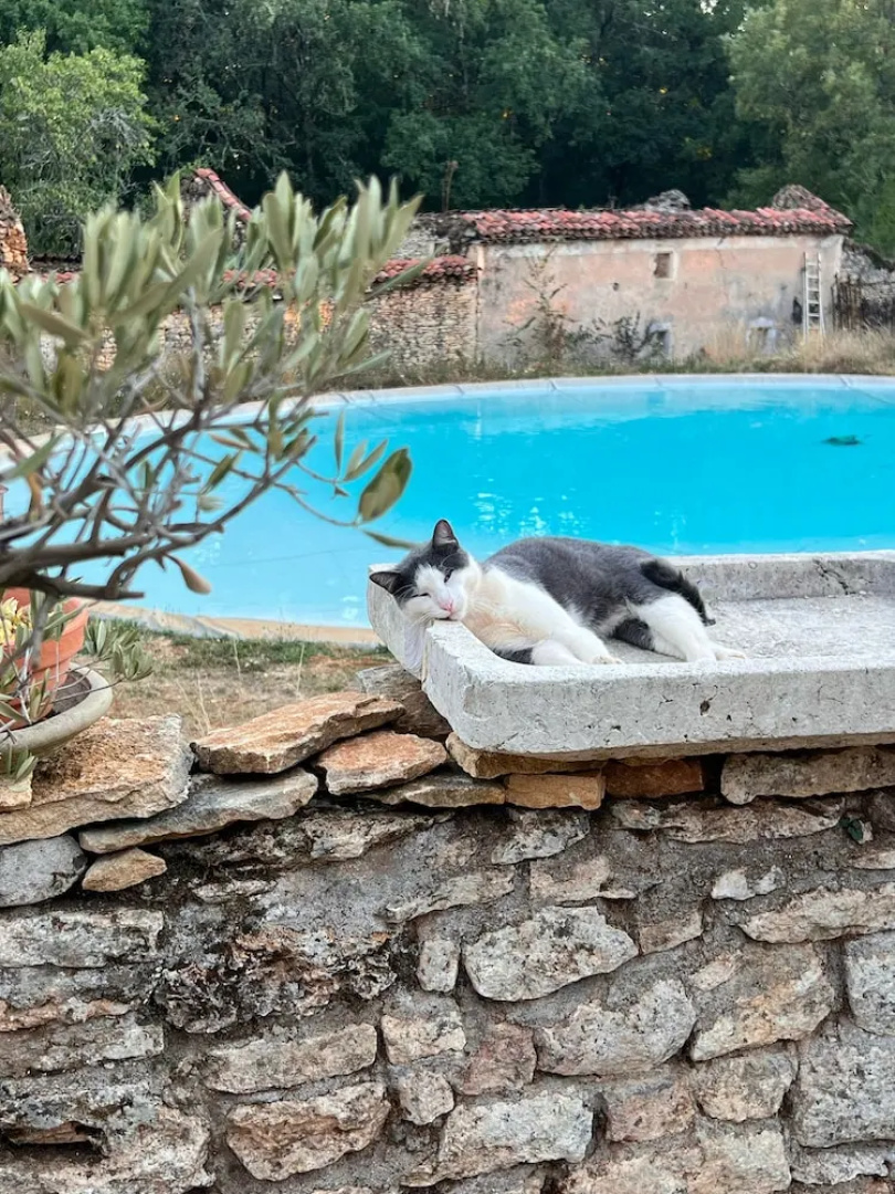 Ecolodge Mombret Haut