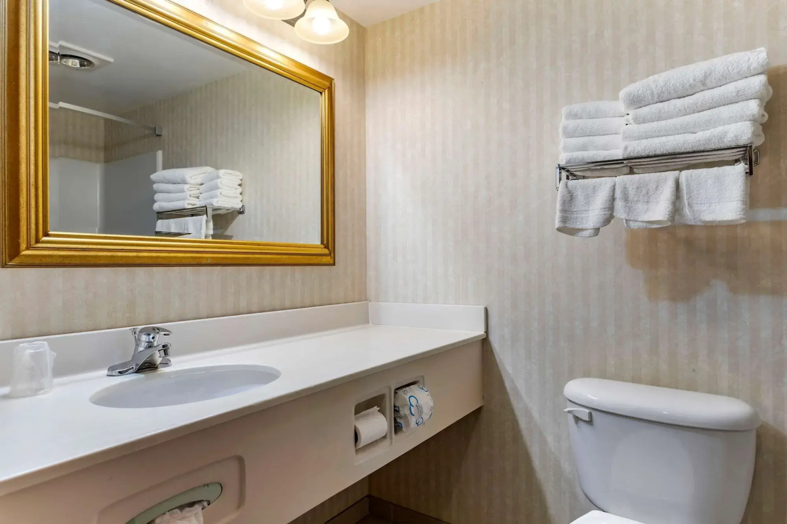 Quality Inn & Suites
