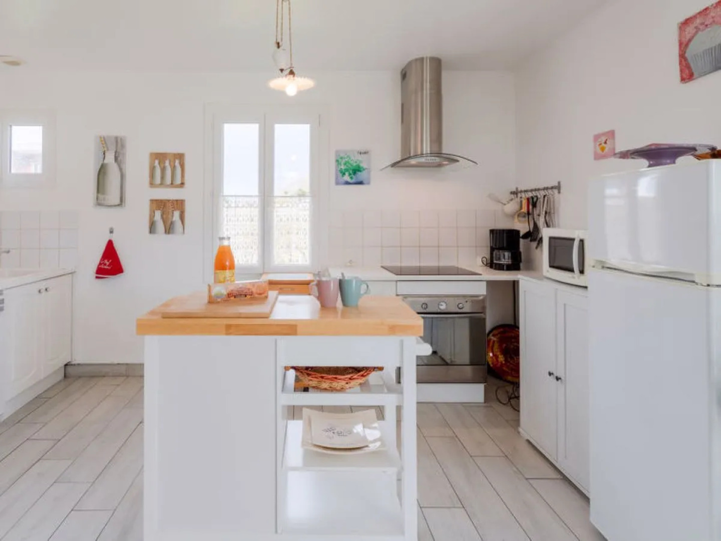 Les Cordylines (ASM400)