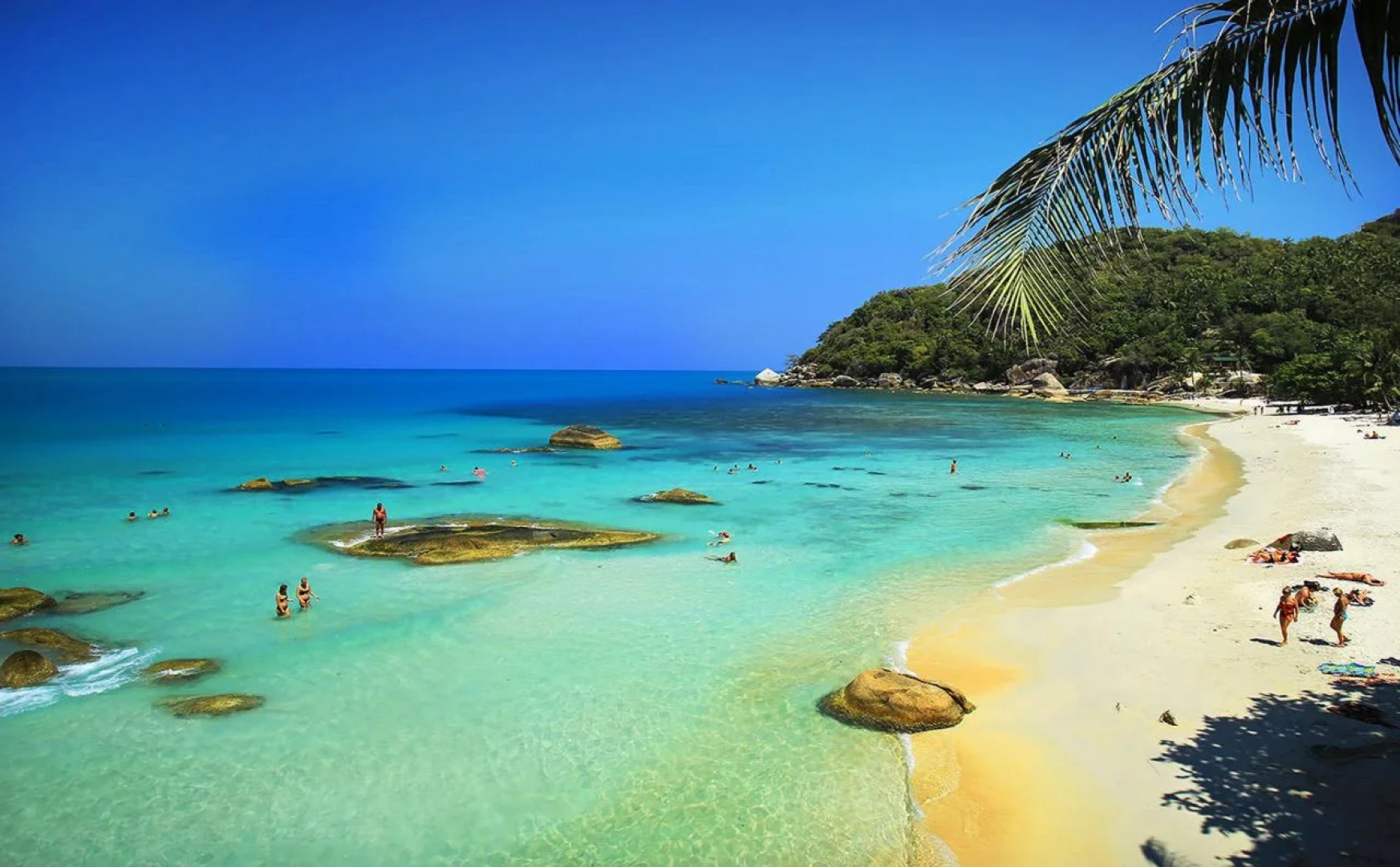 Lotus Friendly Hotel