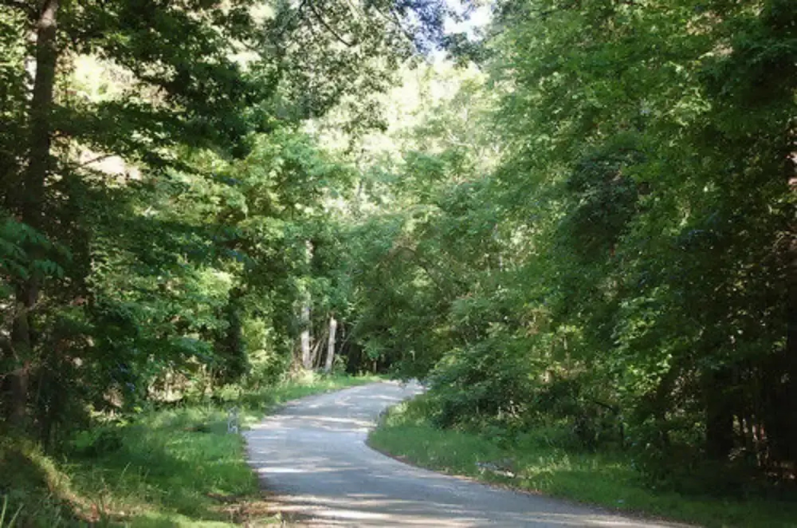 Serenity Pointe Bed and Breakfast