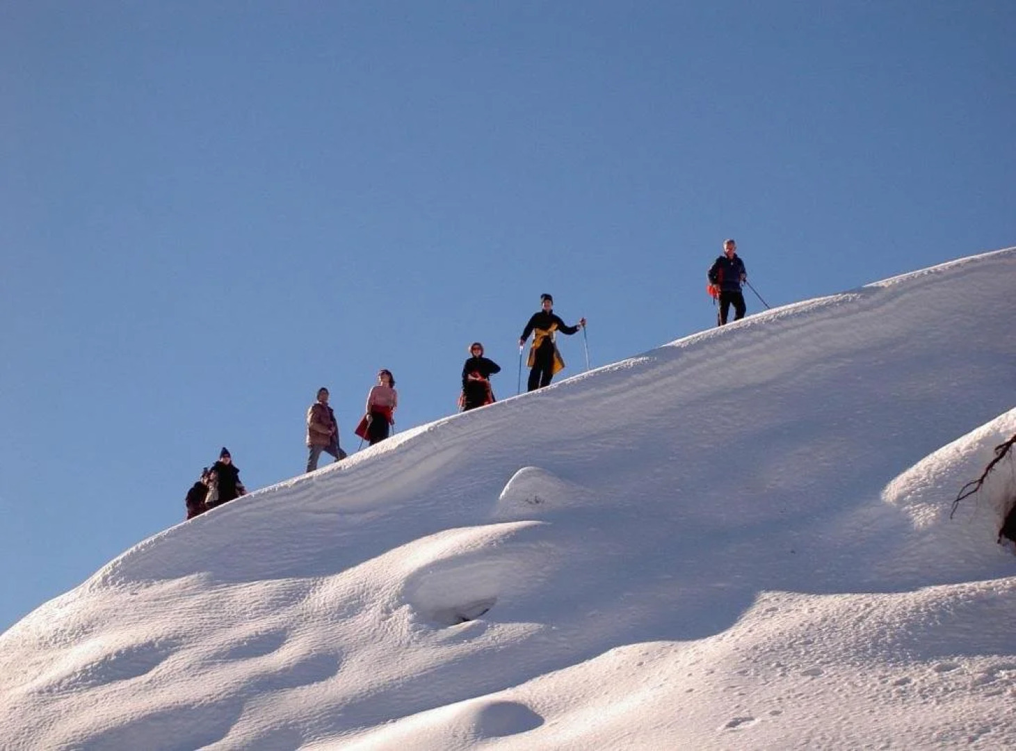 Frühstückspension Sunnhäusl