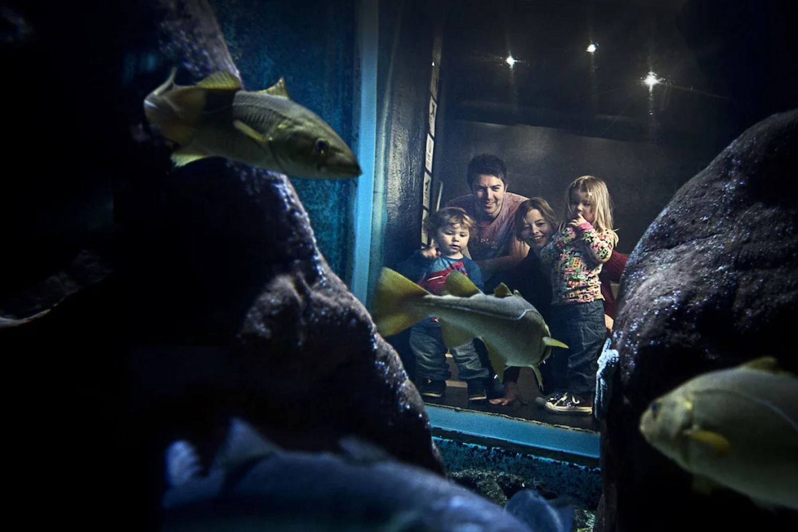 Strandflickornas Husen vid Havet