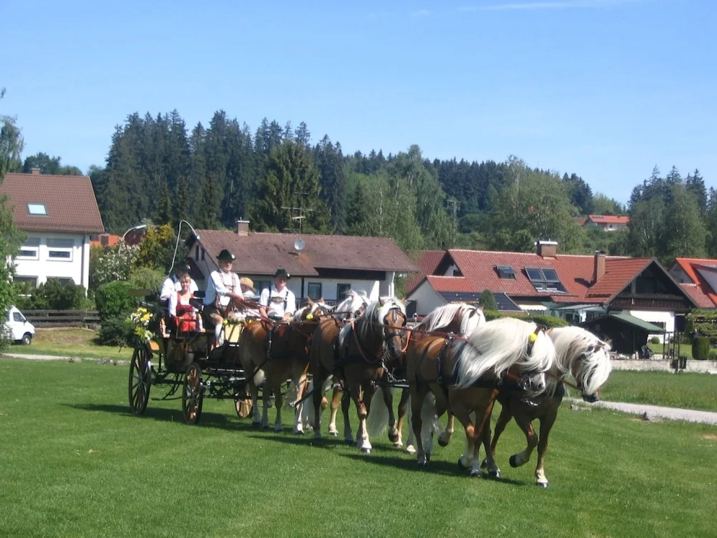 Landhotel Haflingerhof