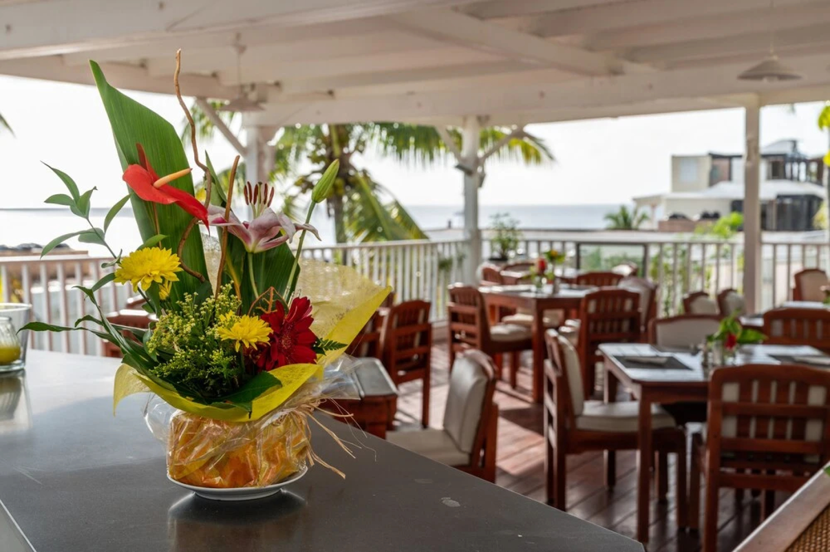 Caribbean vacations home