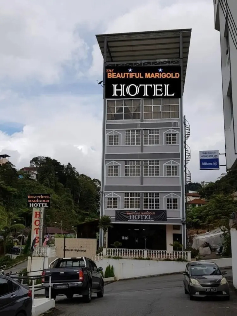 The Beautiful Marigold Hotel