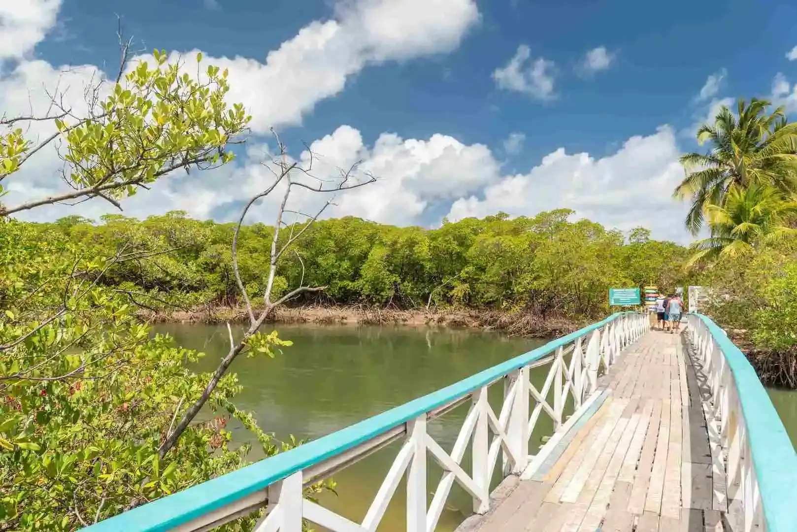 Transamerica Dunas de Marapé