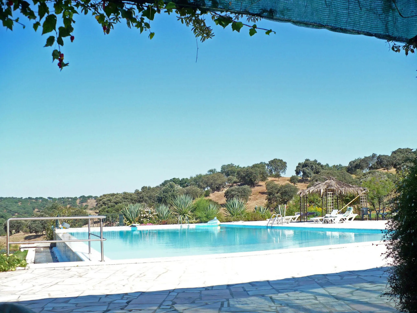 Wine Country Home in Alentejo