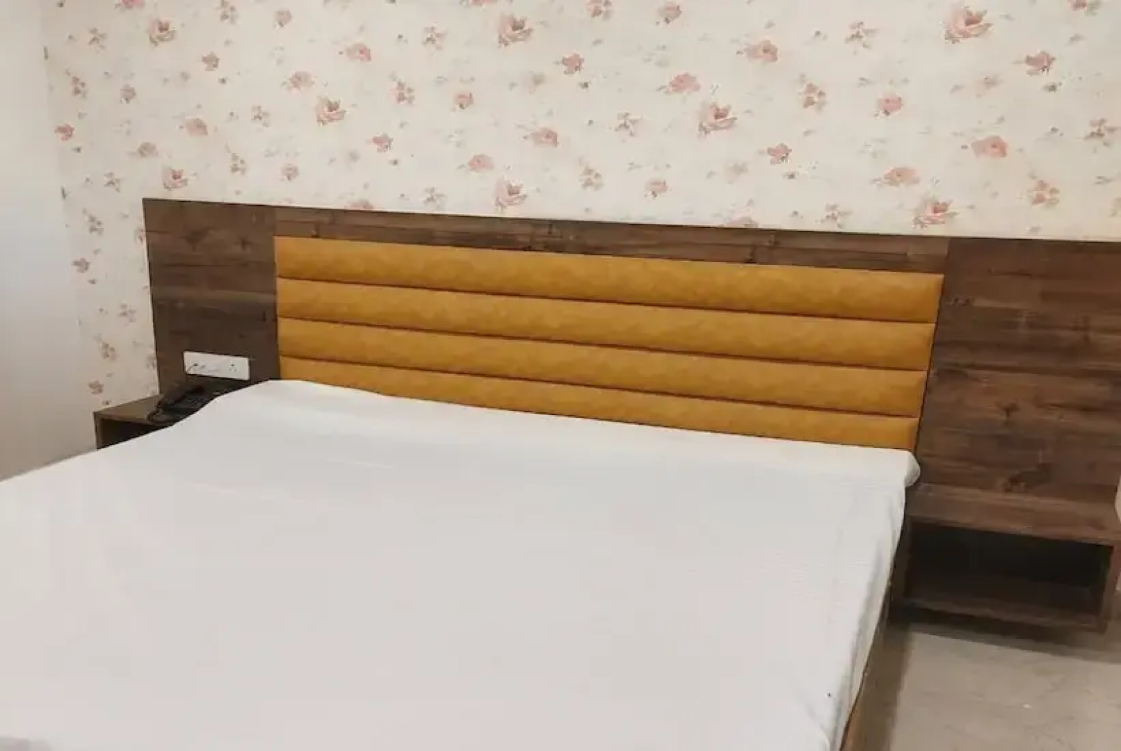 Hotel Ganga Palace Kasganj