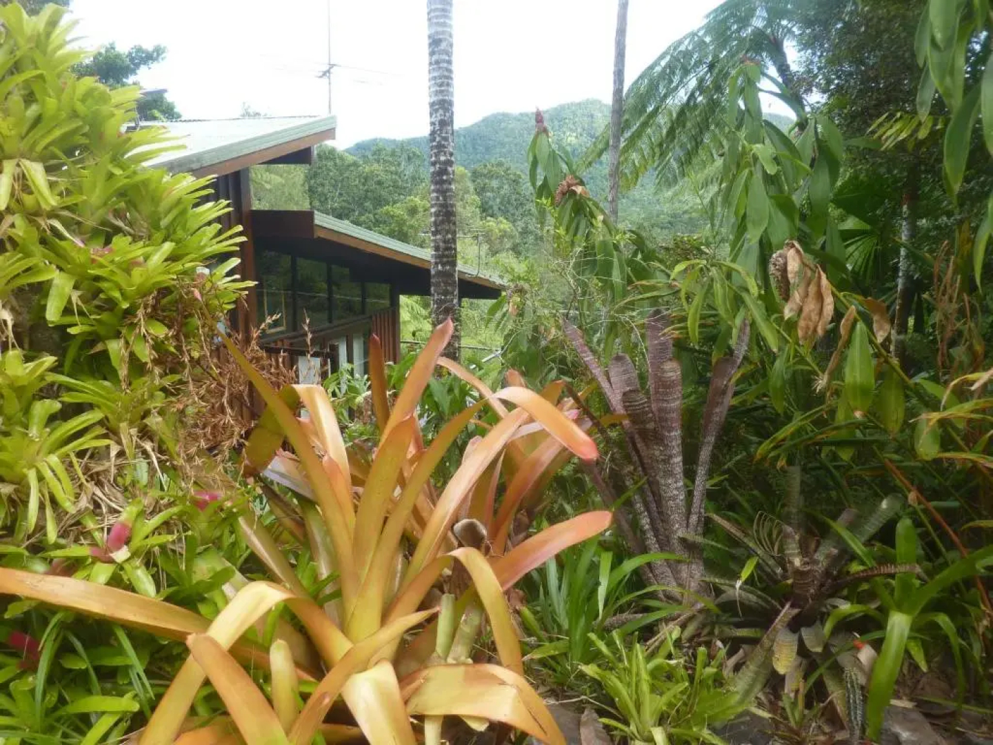 Daintree Holiday Homes - The Folly