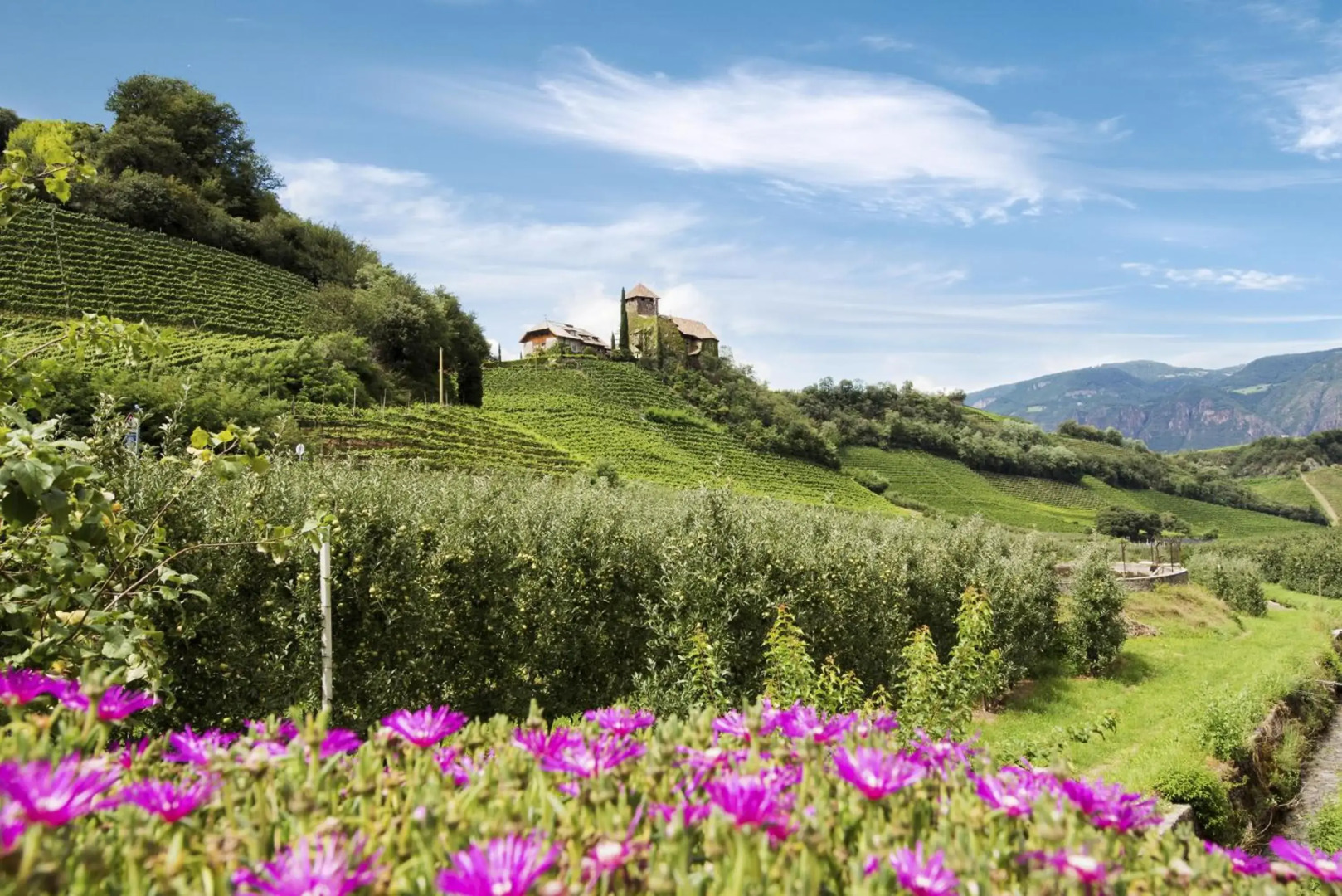 Apartments Schloss Warth