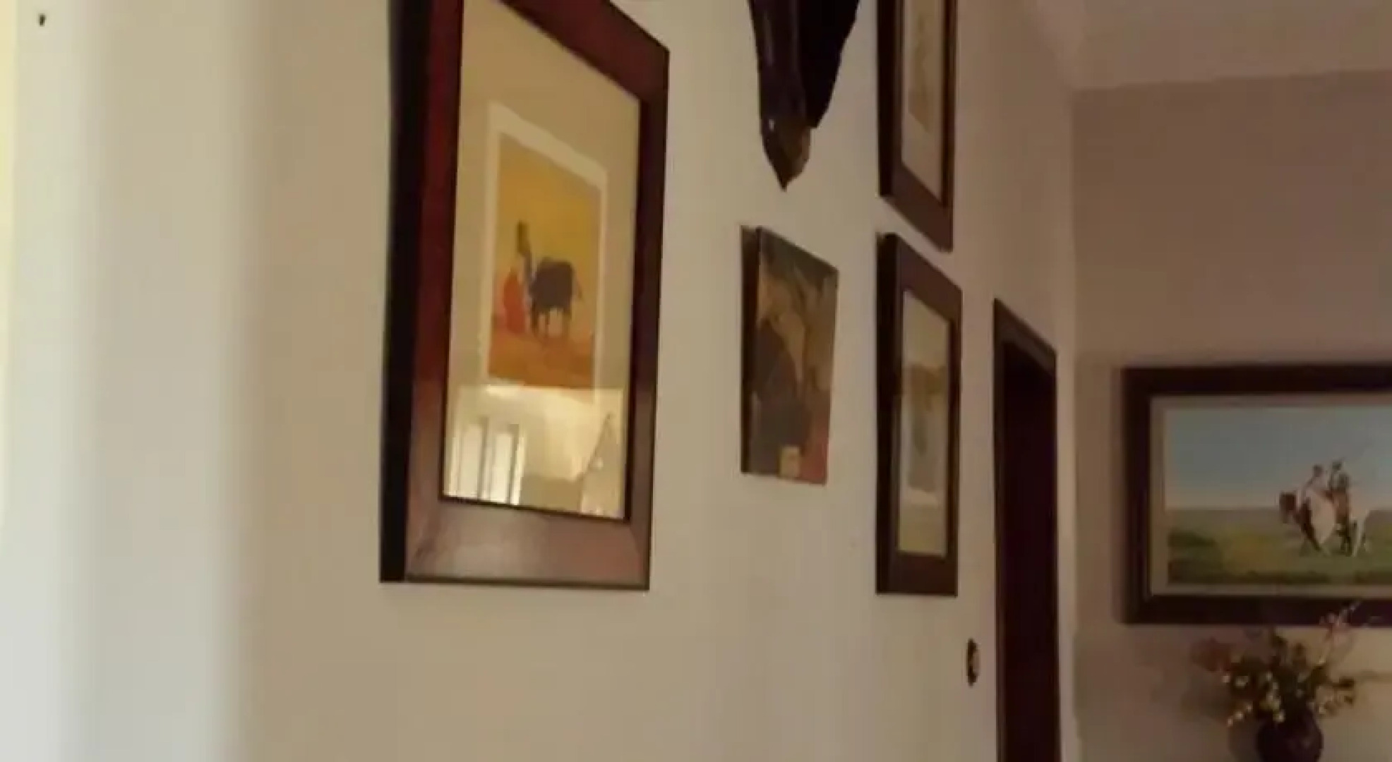 La Coitá del Ventoso