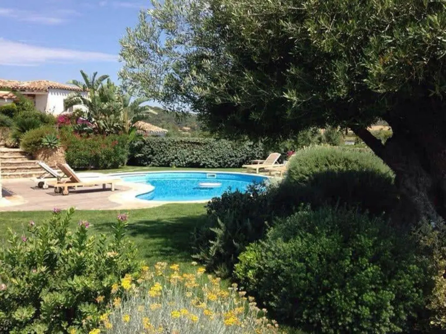 Villa Boungainvillea - Luxury Villa Con Piscina a 500 Mt Dal Mare