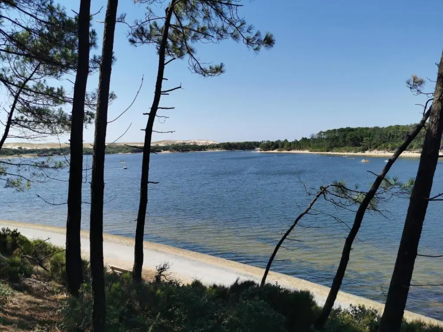 Maisonnette 5 personnes dans résidence avec piscine