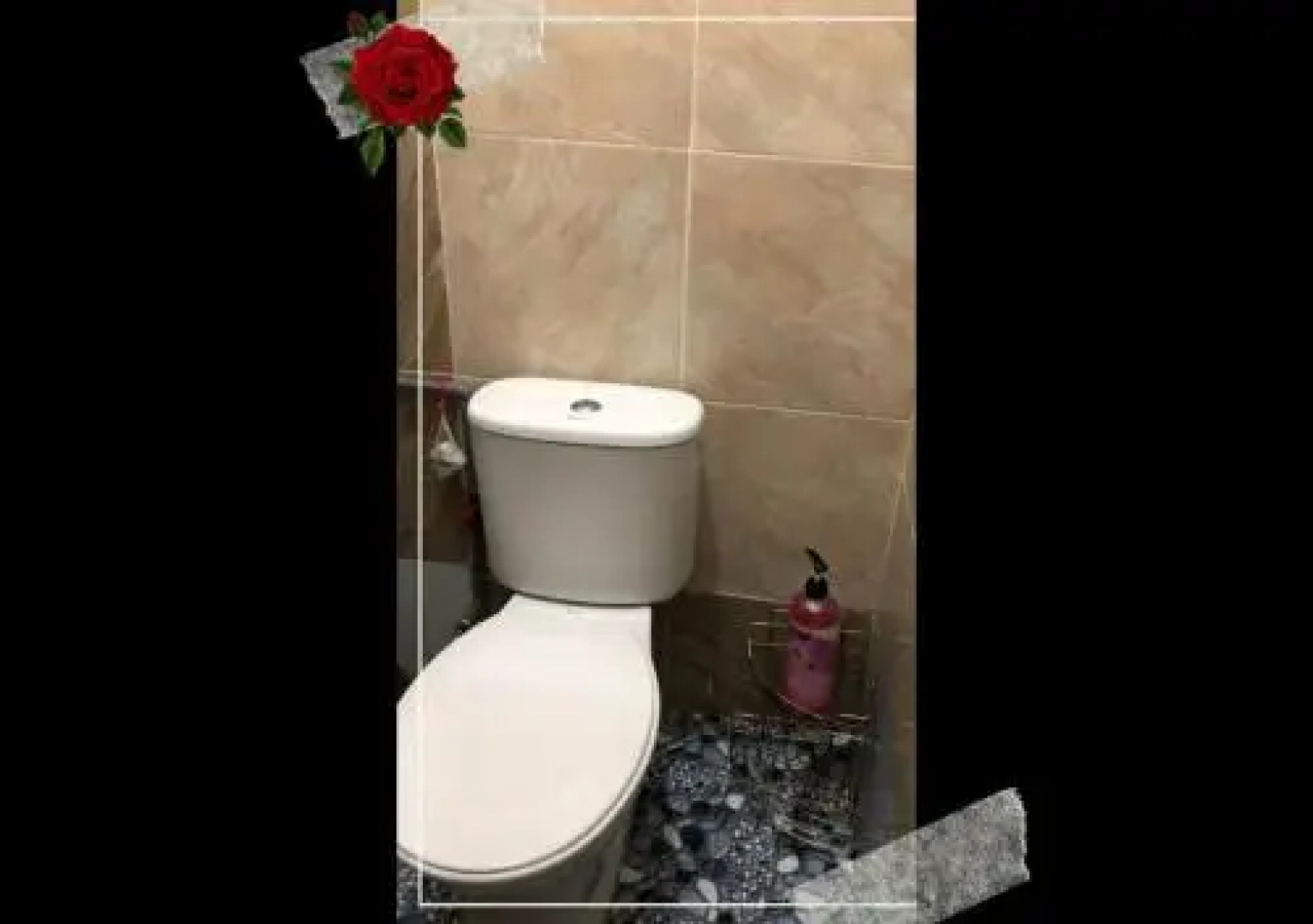 Homestay Razin Gong Badak