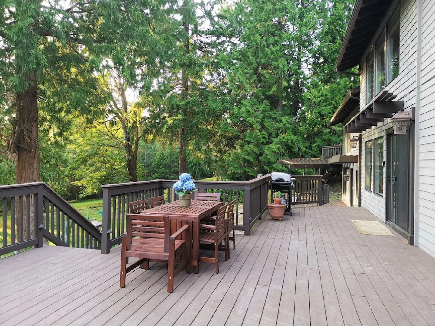 The 2 Forest Rooms--great For Family--and Views