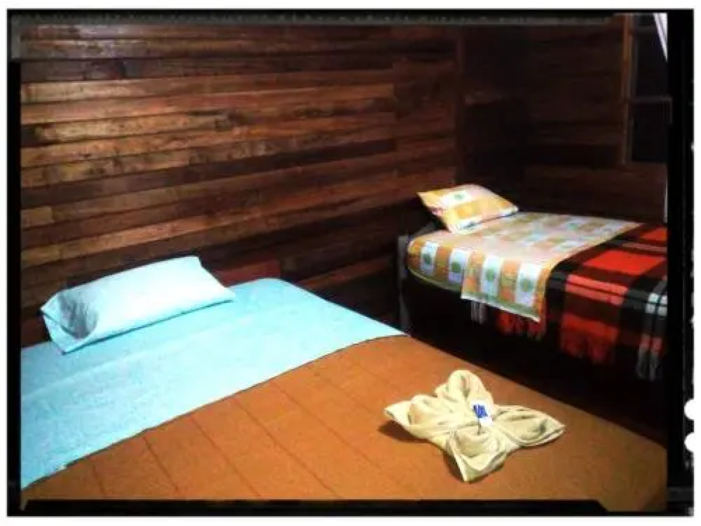 Misahualli Adventure Hostel