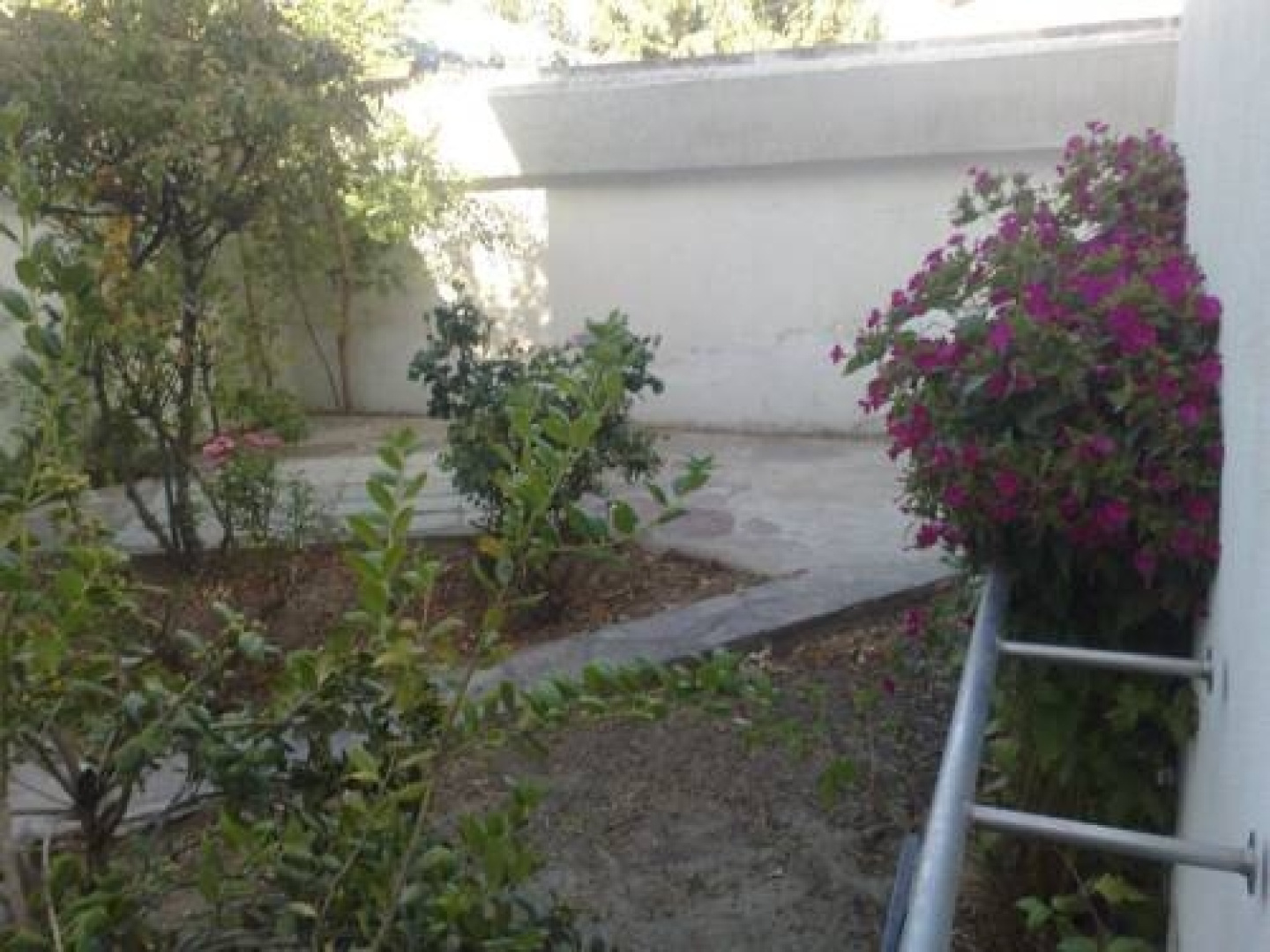 Buena Vida Hostel