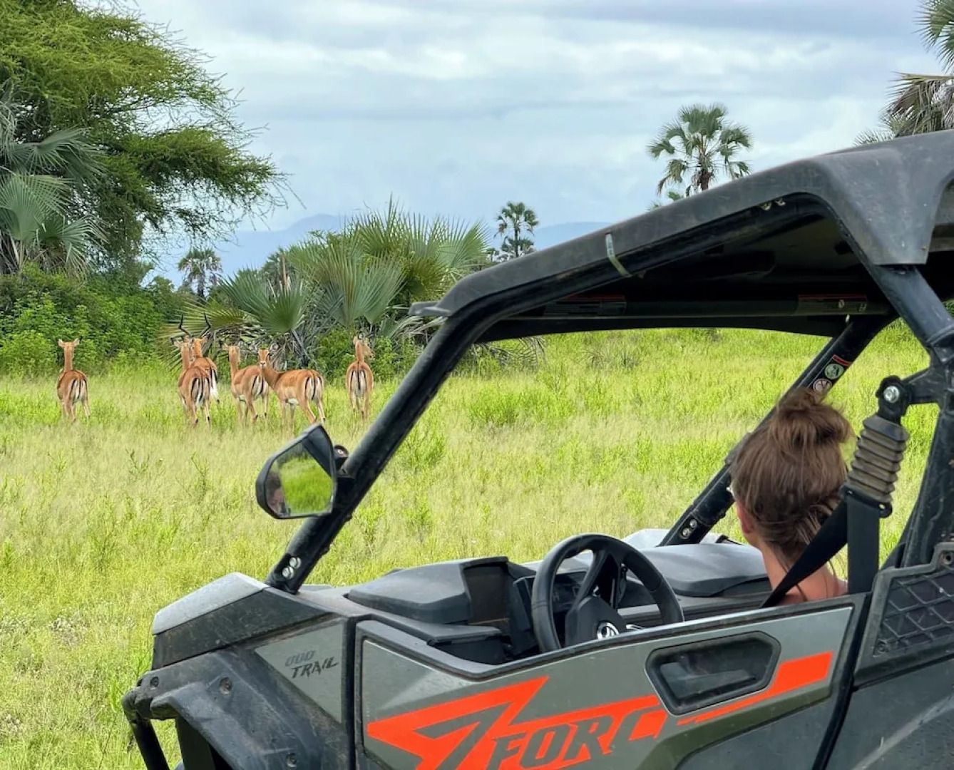 Elephant Lodge