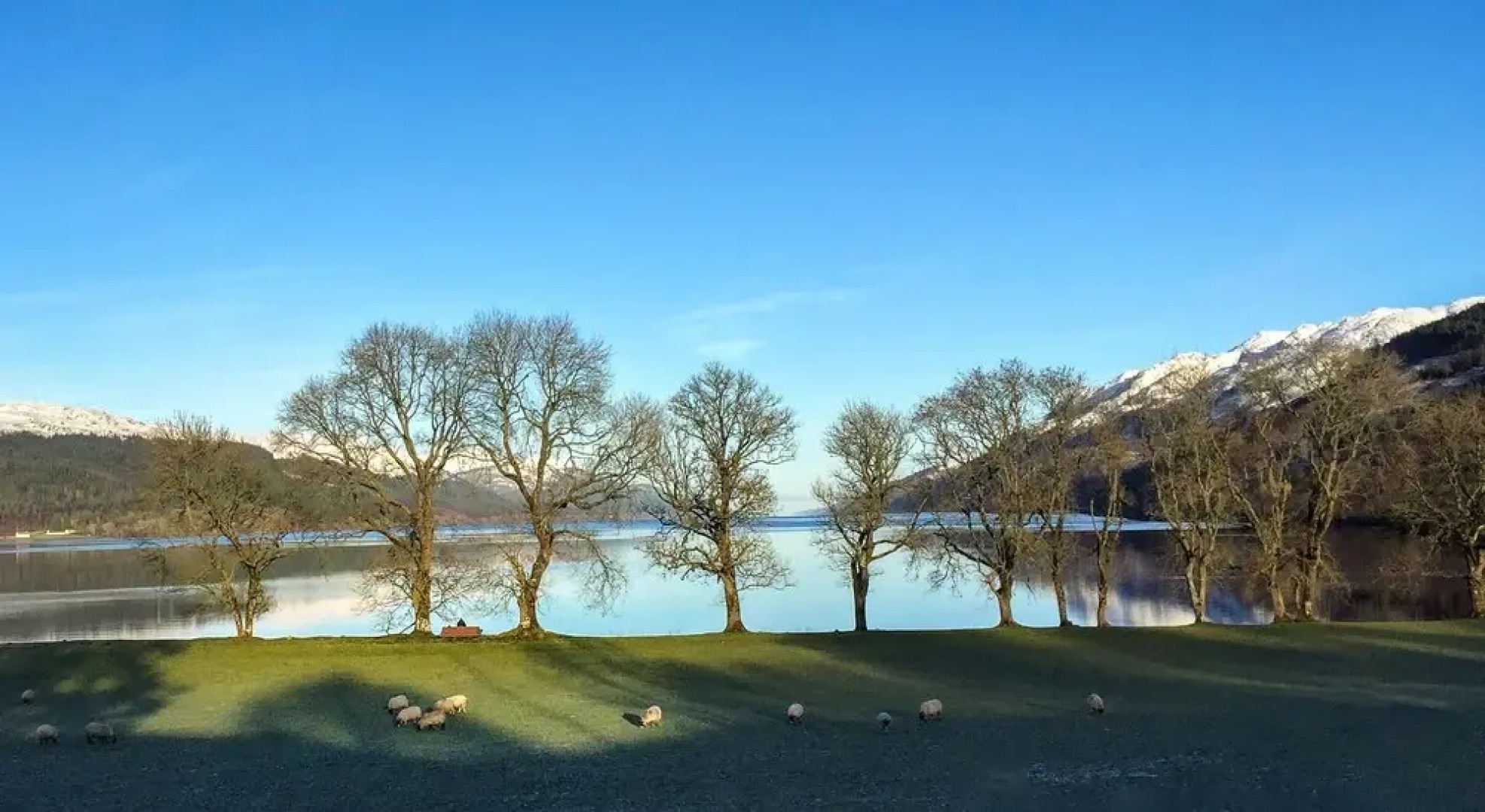 Rose Cottage Bed & Breakfast