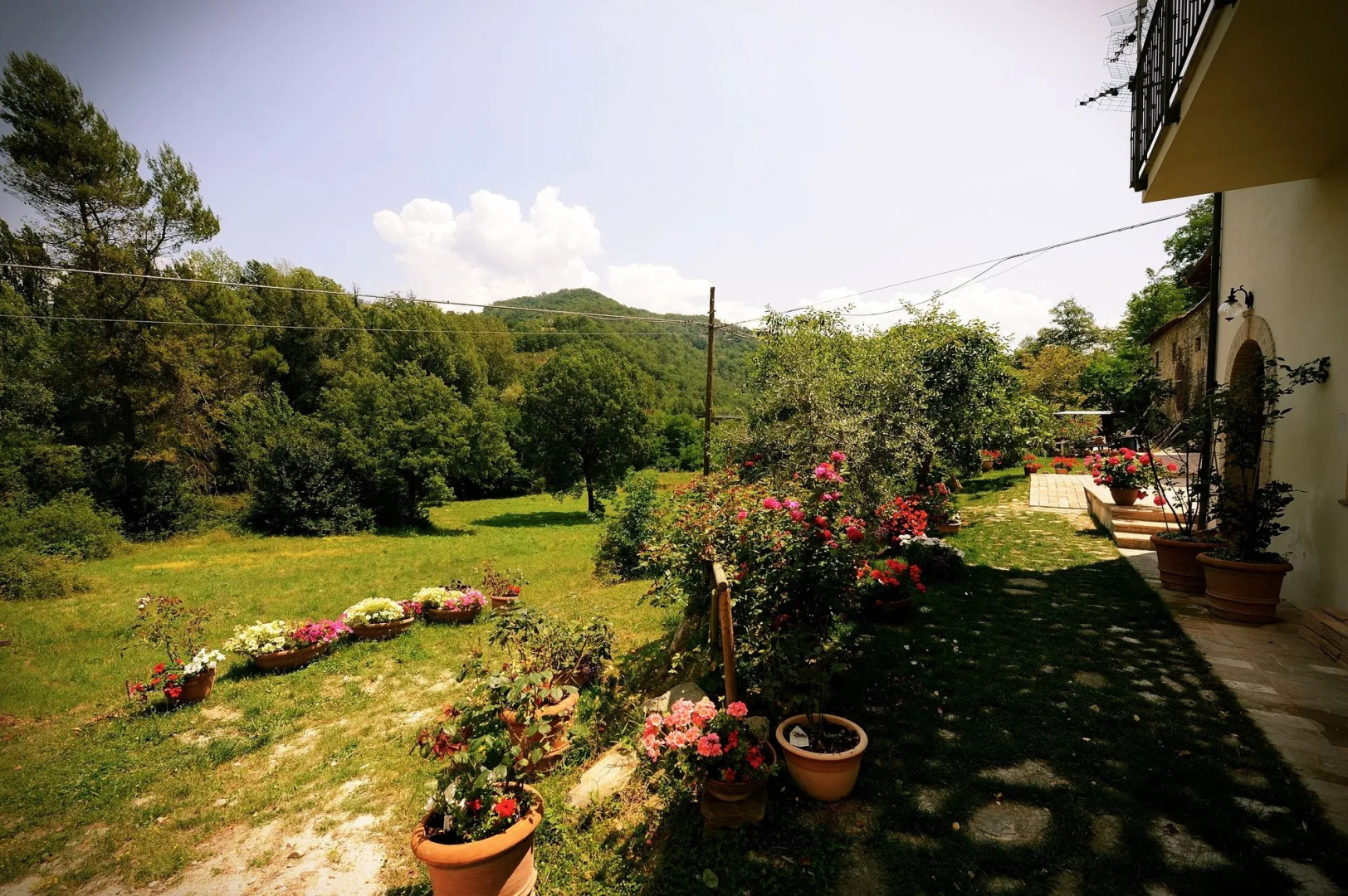 Agriturismo Casa Brunori