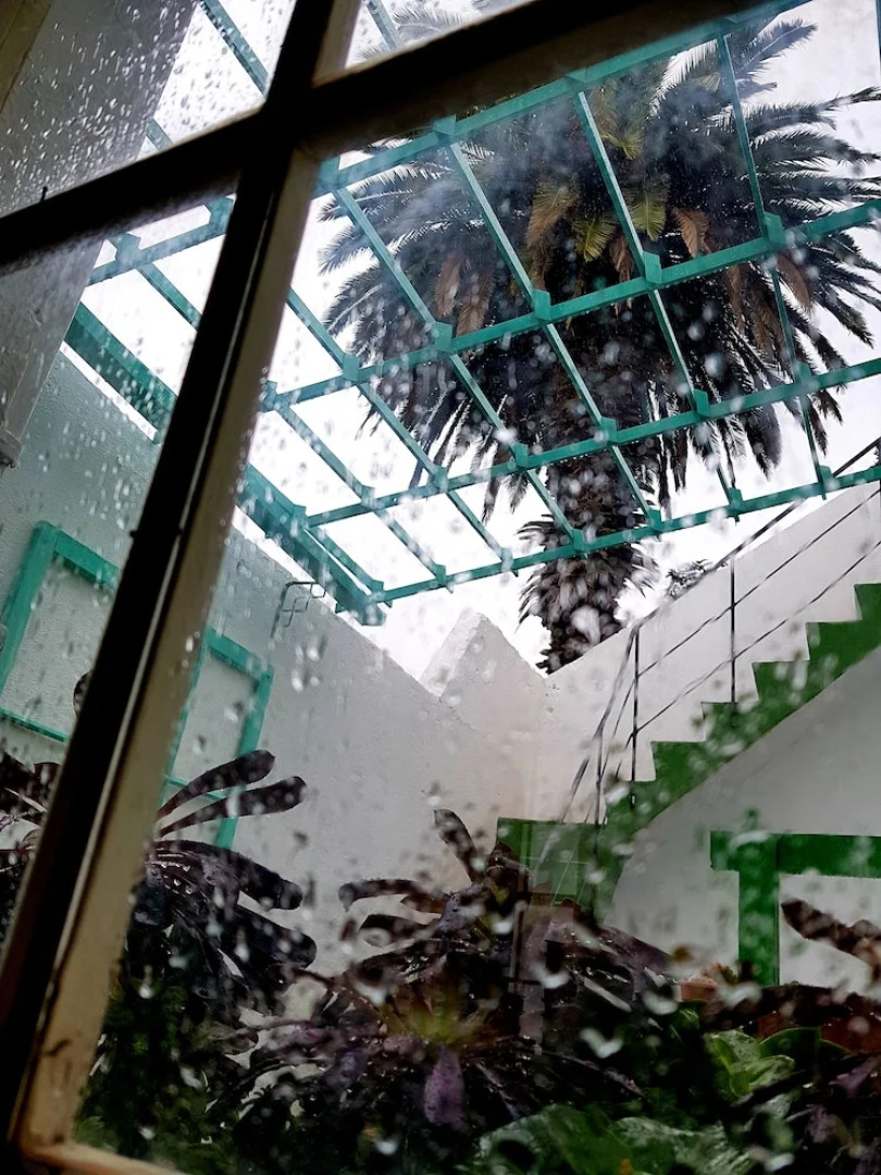 Ratones de Biblioteca - Hostel