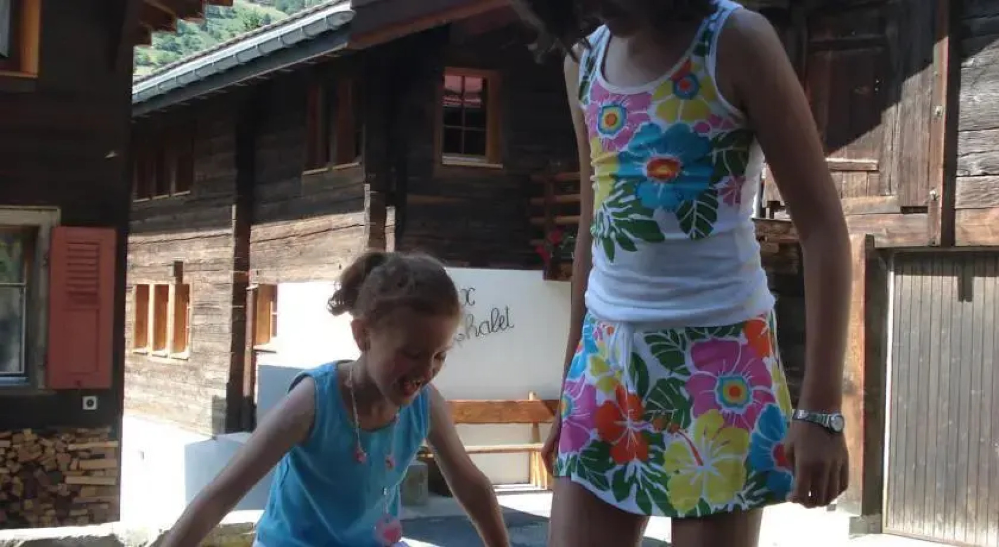 Marmotta di Montagne