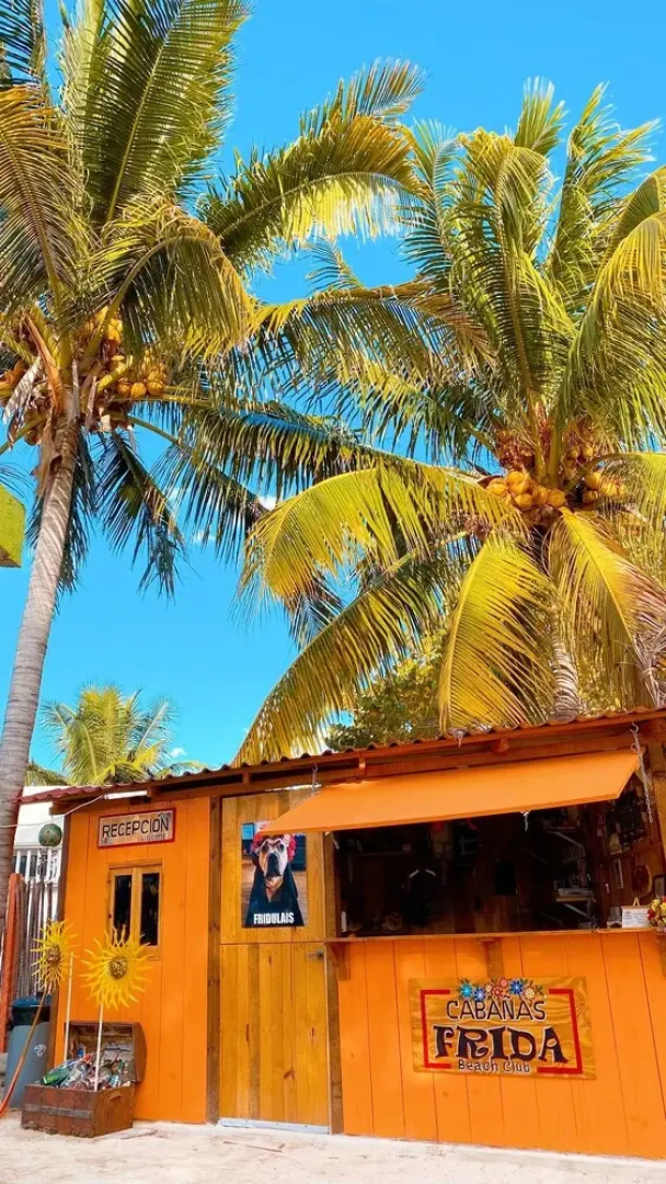Cabañas Frida
