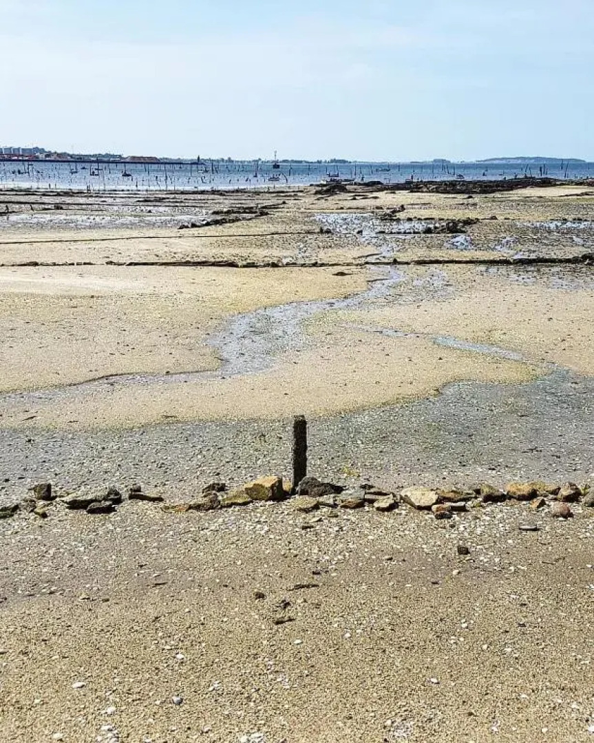 Vistas a la Ría de Arousa