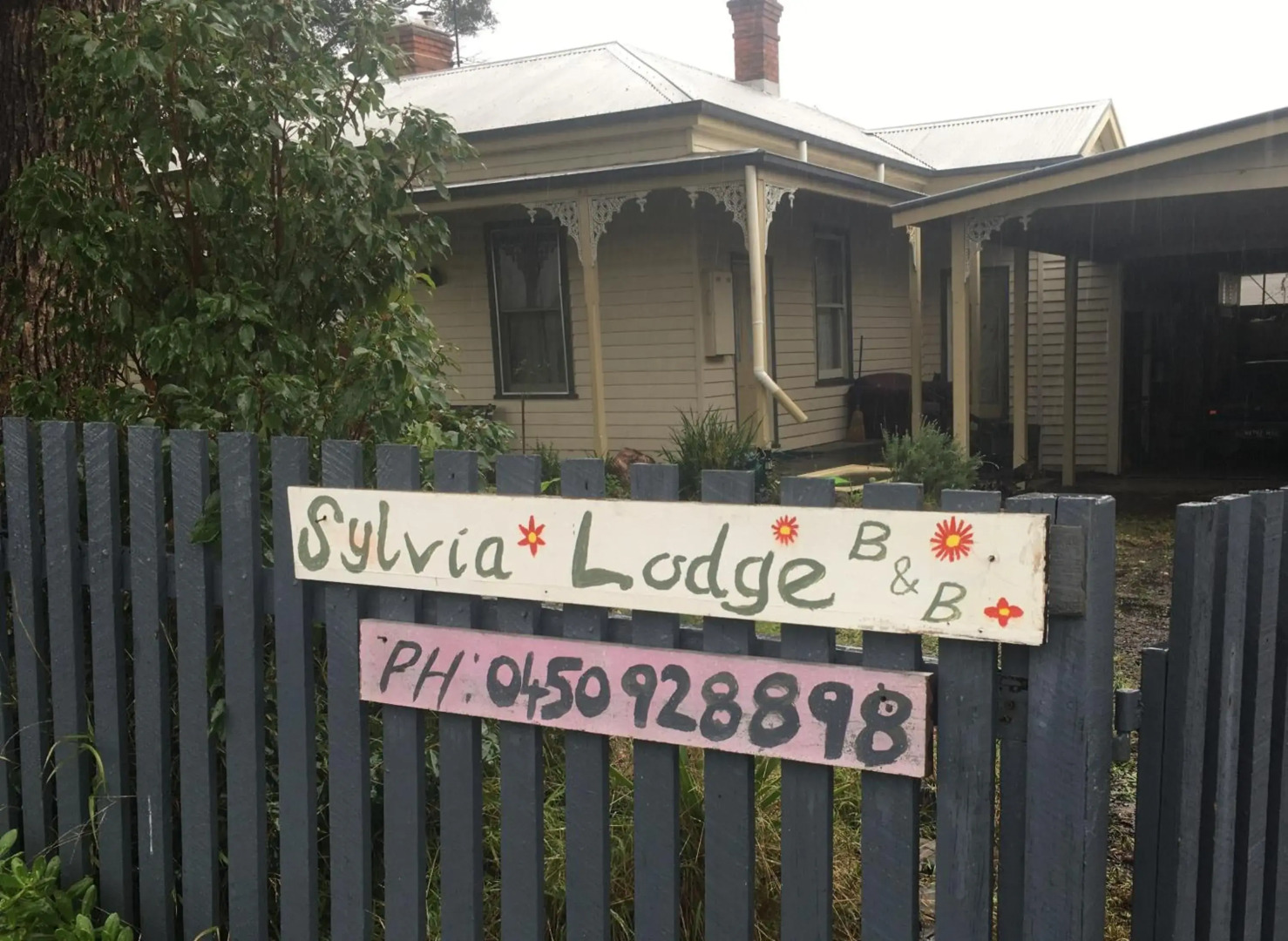 Sylvia Lodge A pet friendly Homestay for budget travellers