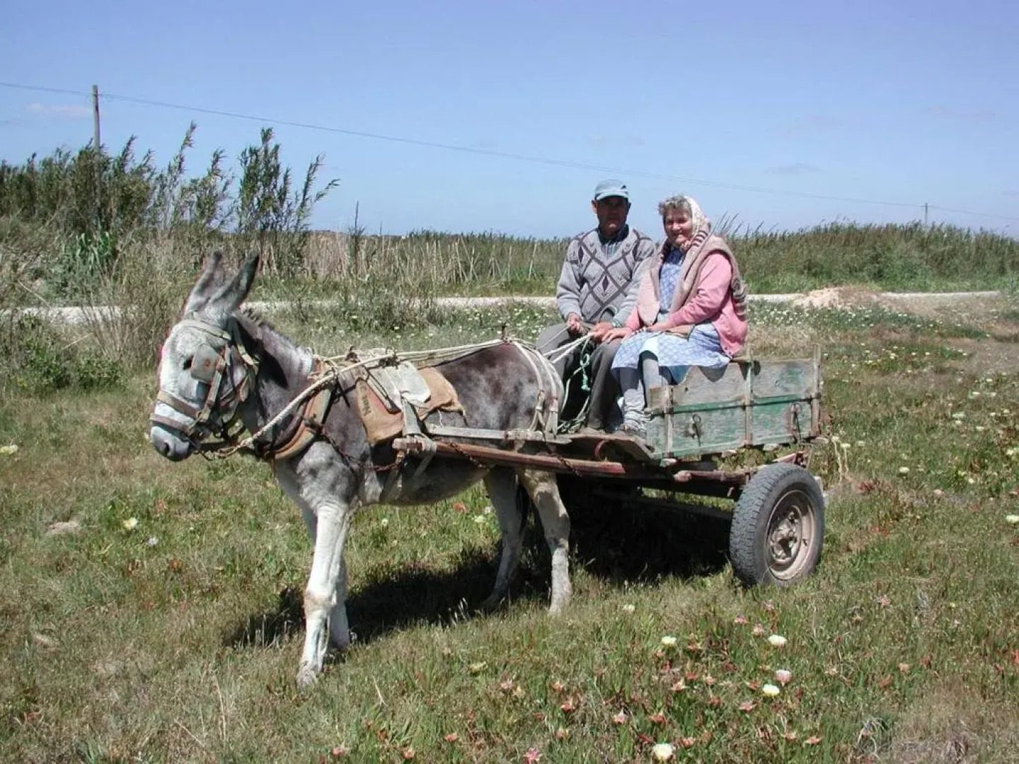 Da Silva Surfcamp- 3 Bettzimmer Mit Fruhstuck