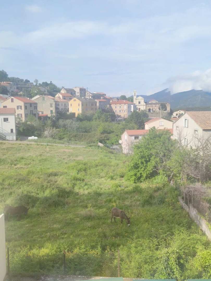 Chez Laurette Murato
