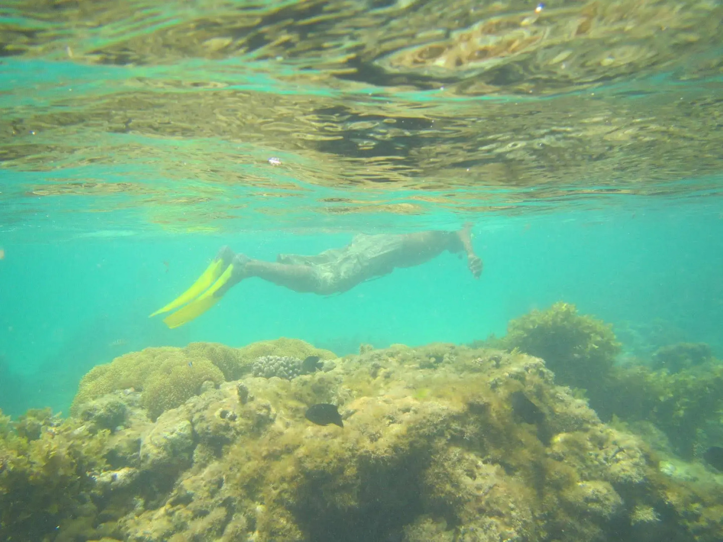 Kilima Kidogo Guest House