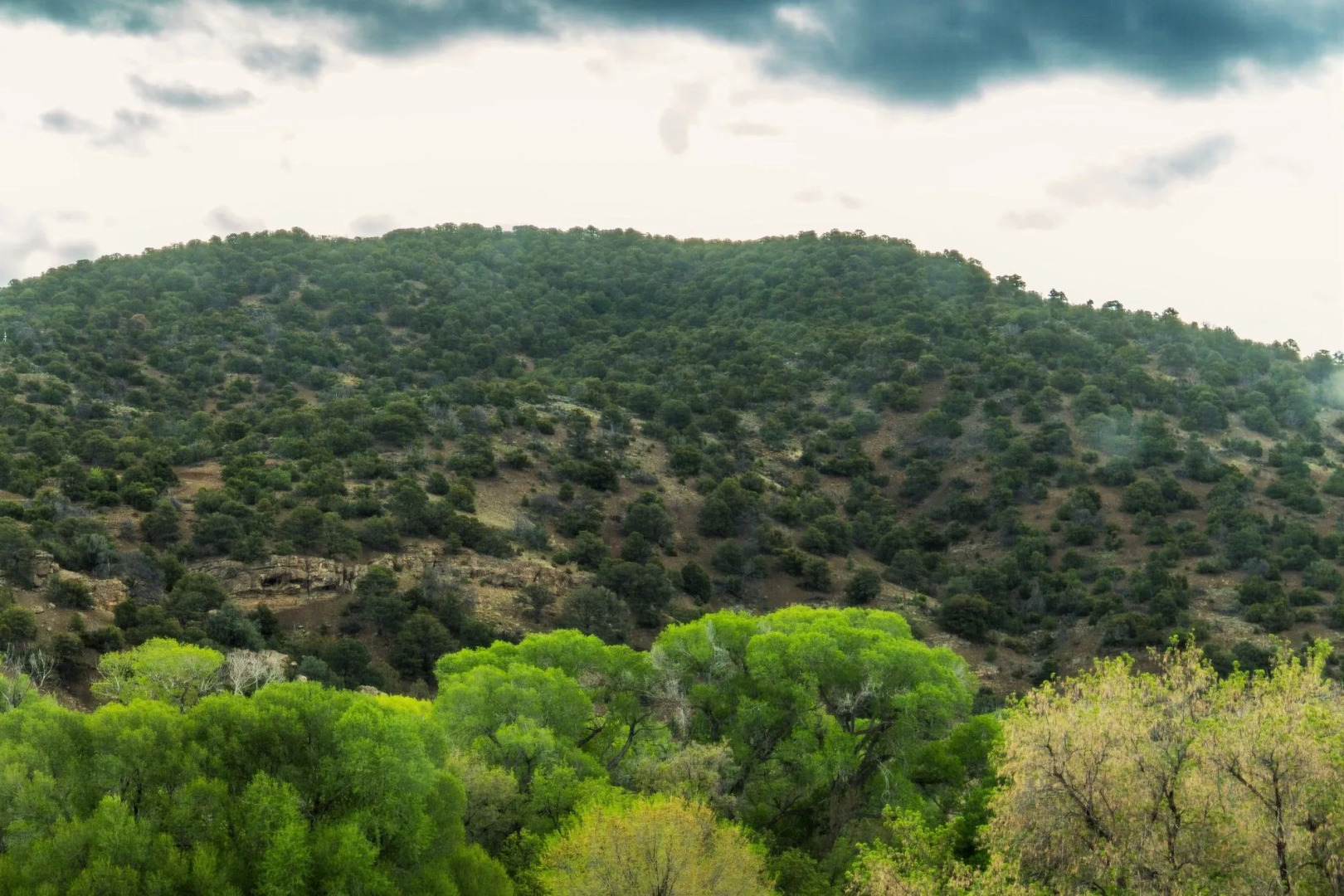 Blue Sky Retreat at San Geronimo Lodge