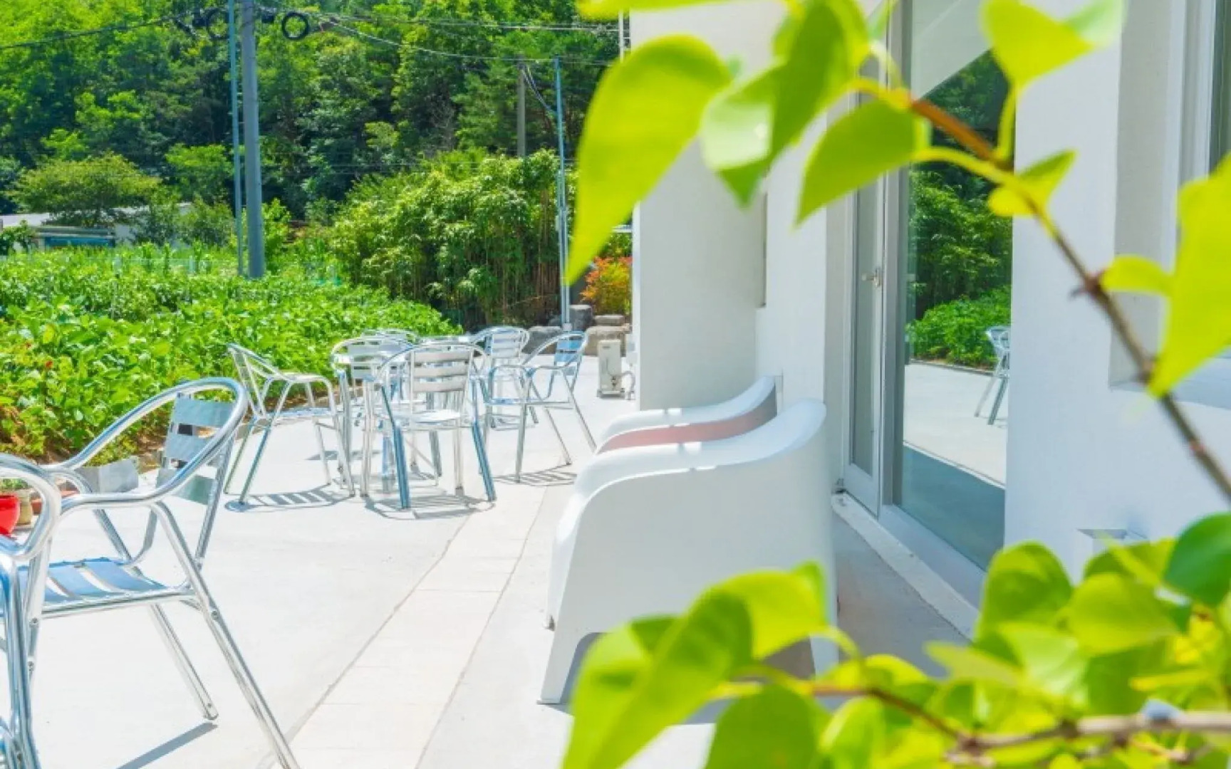 The Adventures of Tom Sawyer