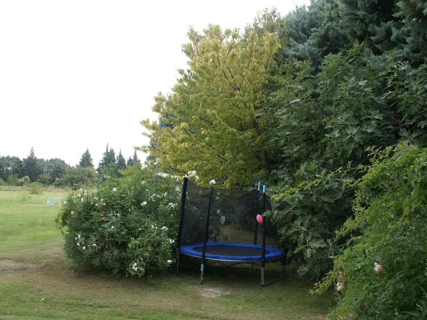 Spacious Quiet Mas With Bikes and Pizza Oven