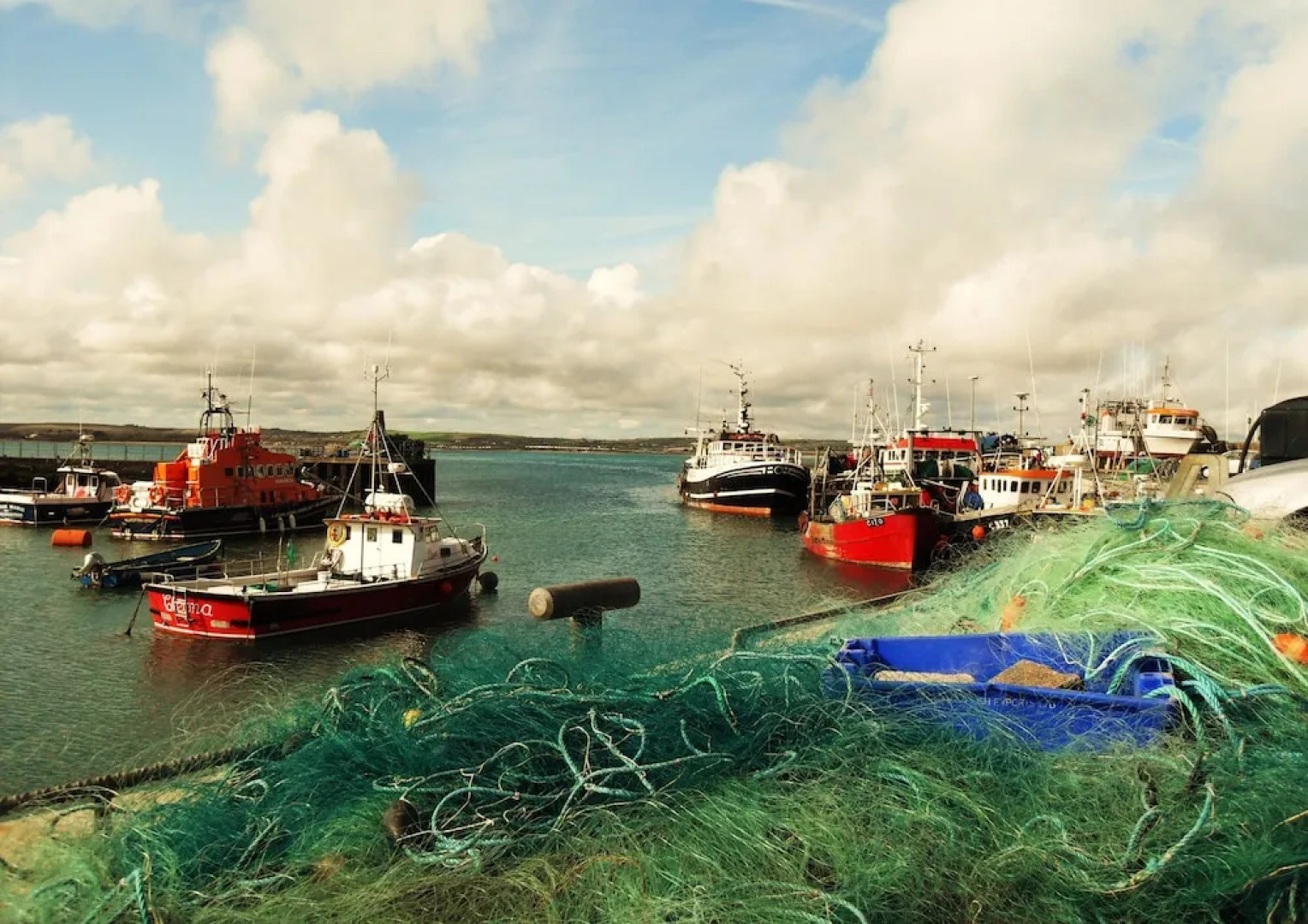 Garryvoe Beach Homes