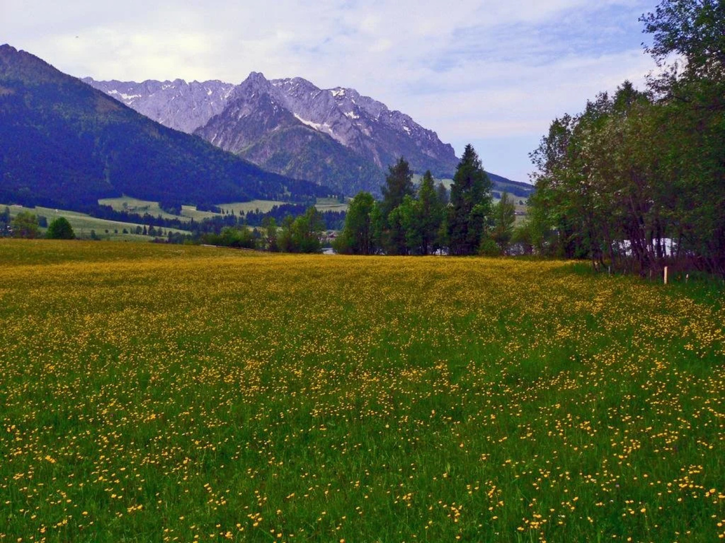 Mountain Inn Chalets & Apartments