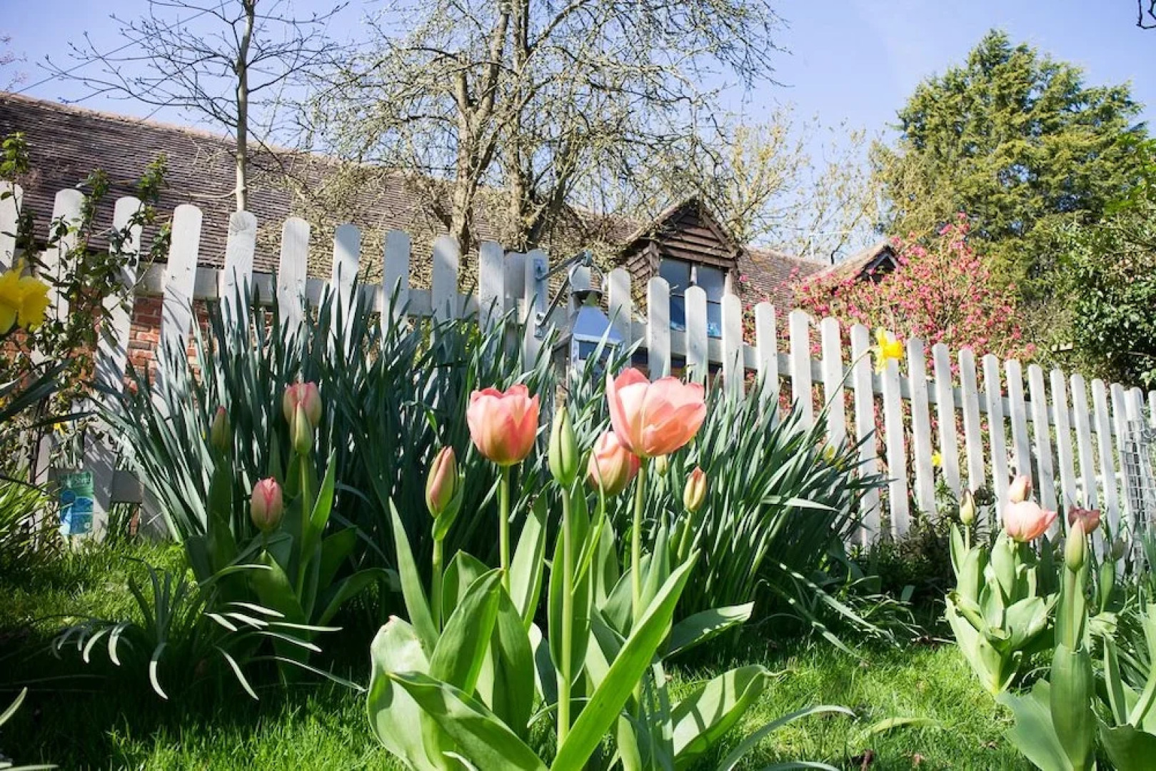 Whispering Cottages Bed and Breakfast