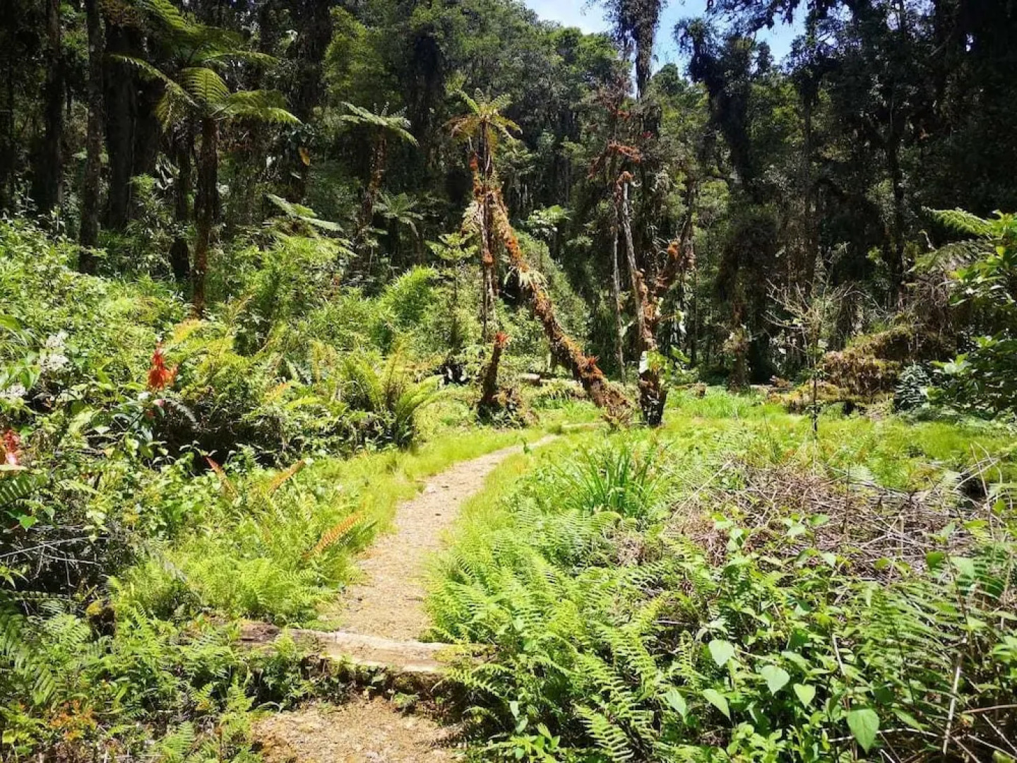 Iyok Ami Hostel Tours