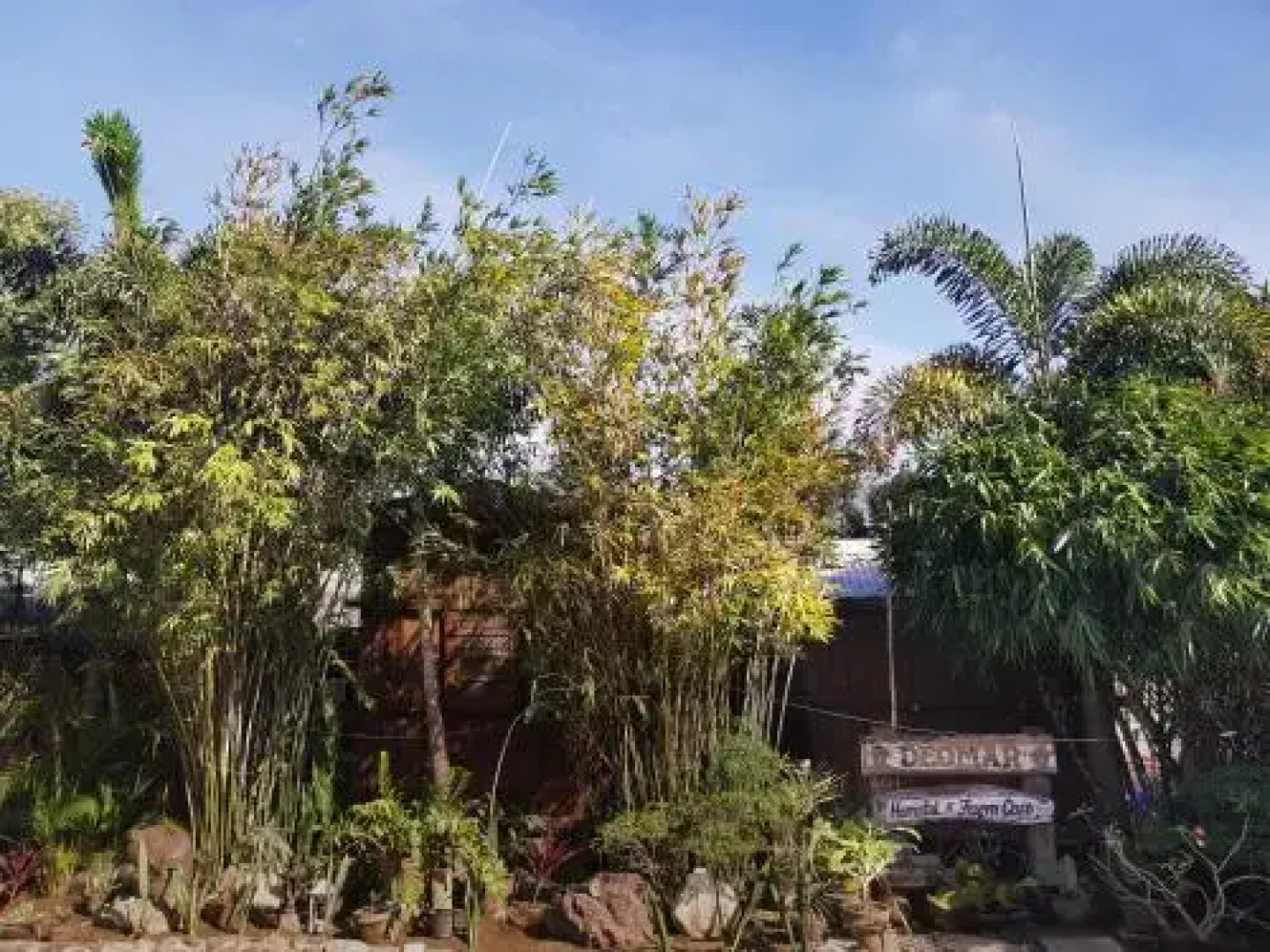 RedDoorz Hostel @ Deomar Hometel and Farm Cafe Vigan Ilocos