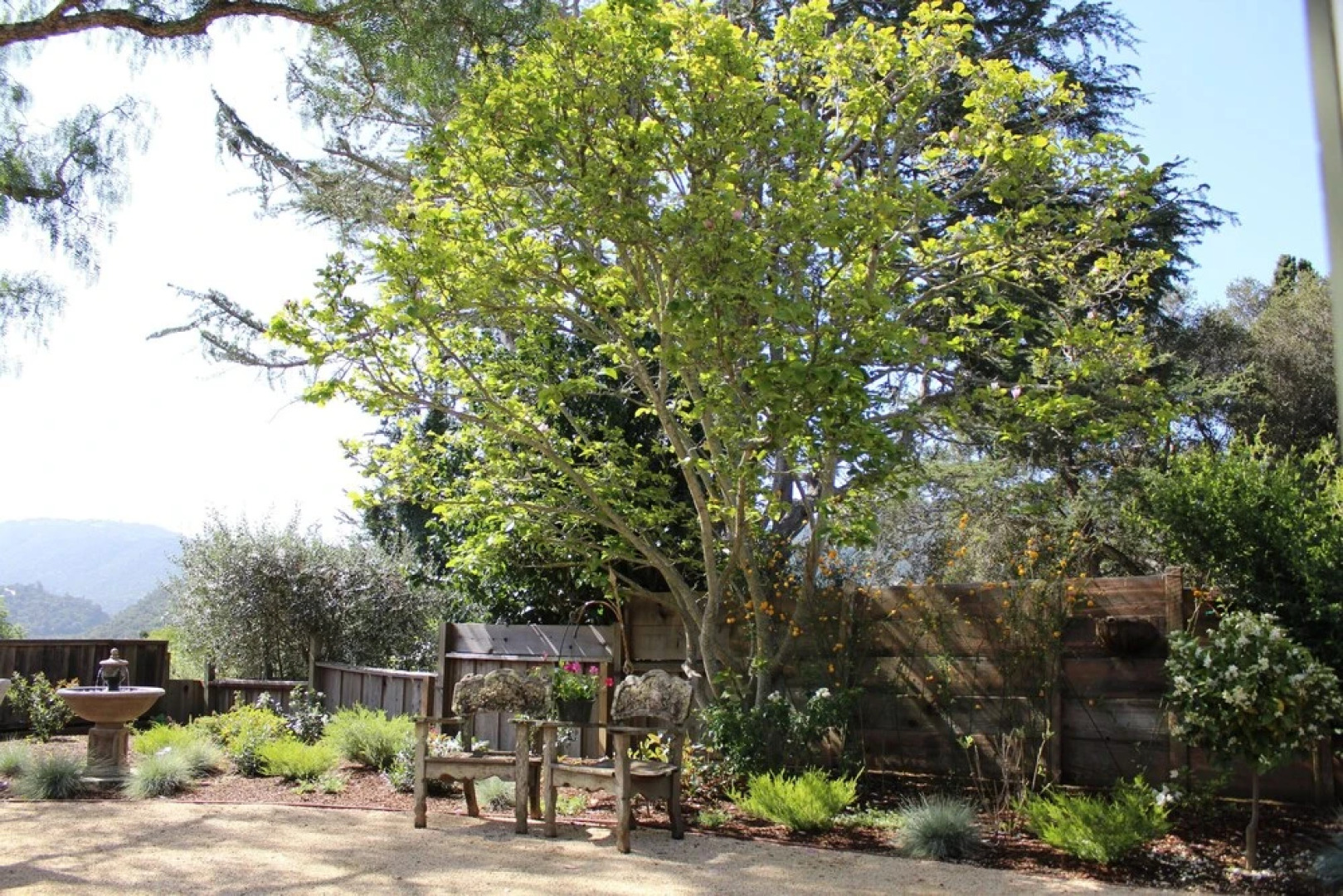 "Pepper Tree Cottage" Panoramic Views of Carmel Valley, Walking Distance to the Village