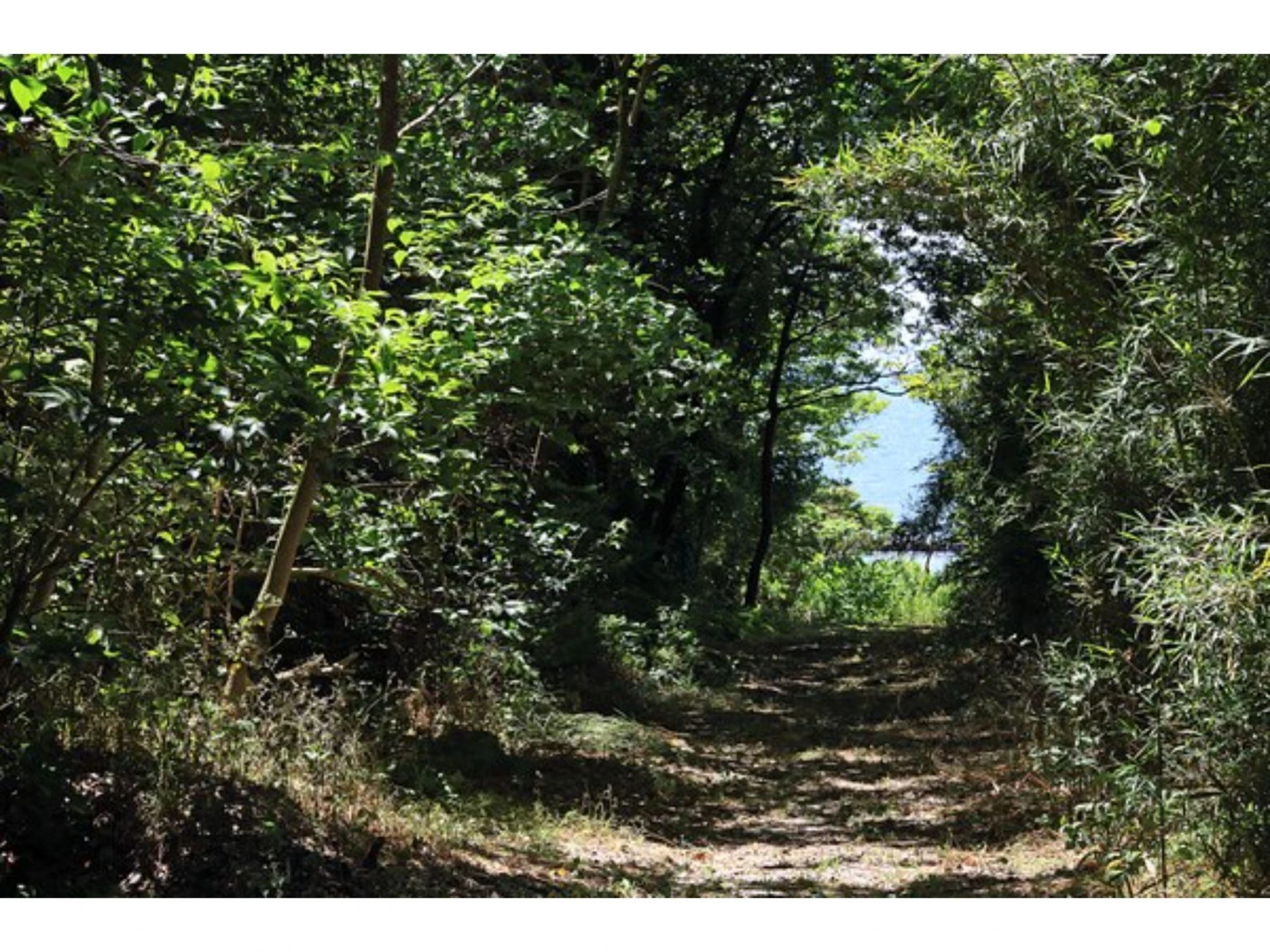 Sasayakana Ouchi Sasage - Vacation STAY 37857v