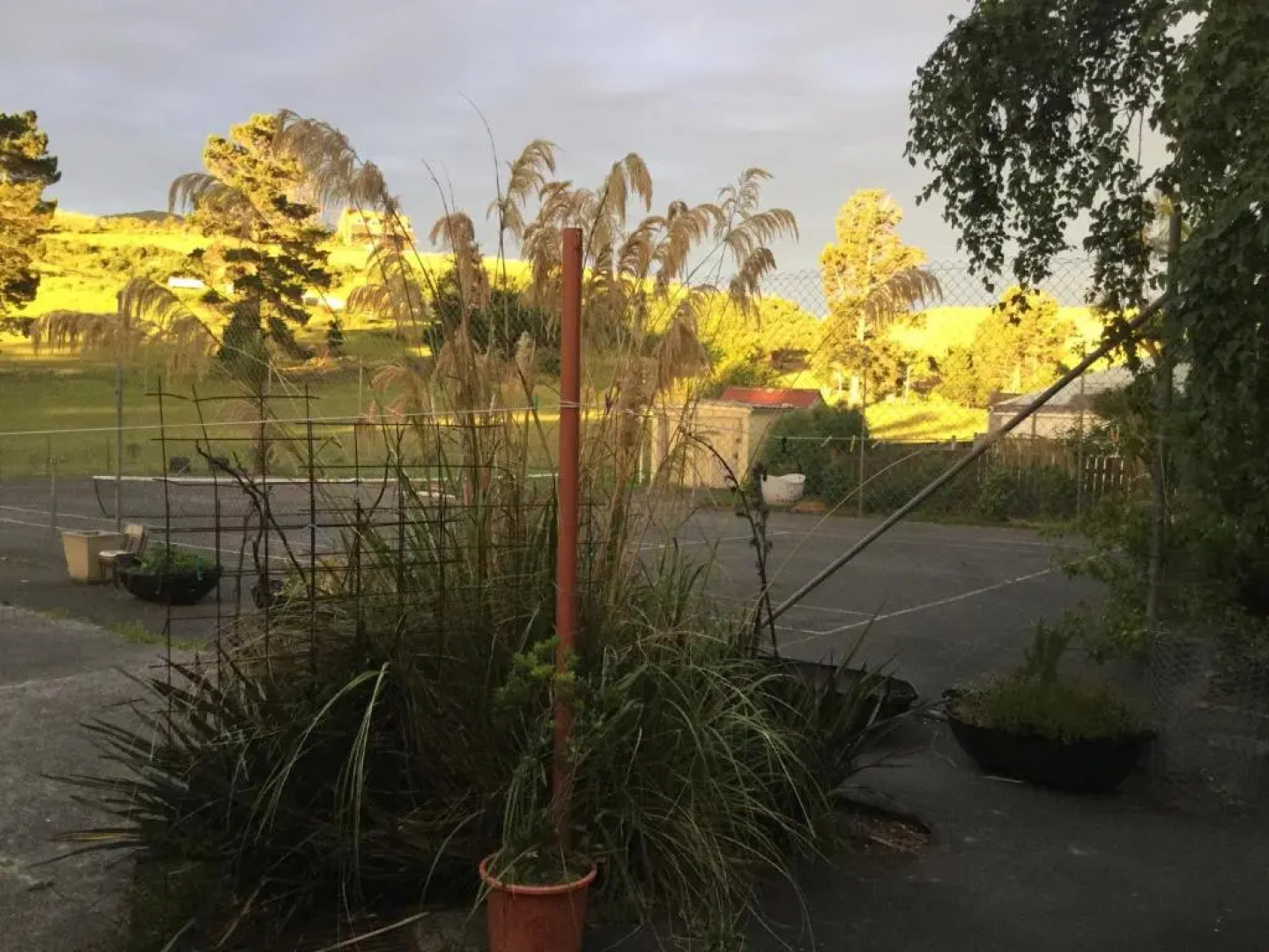 Stay in School by the Sea